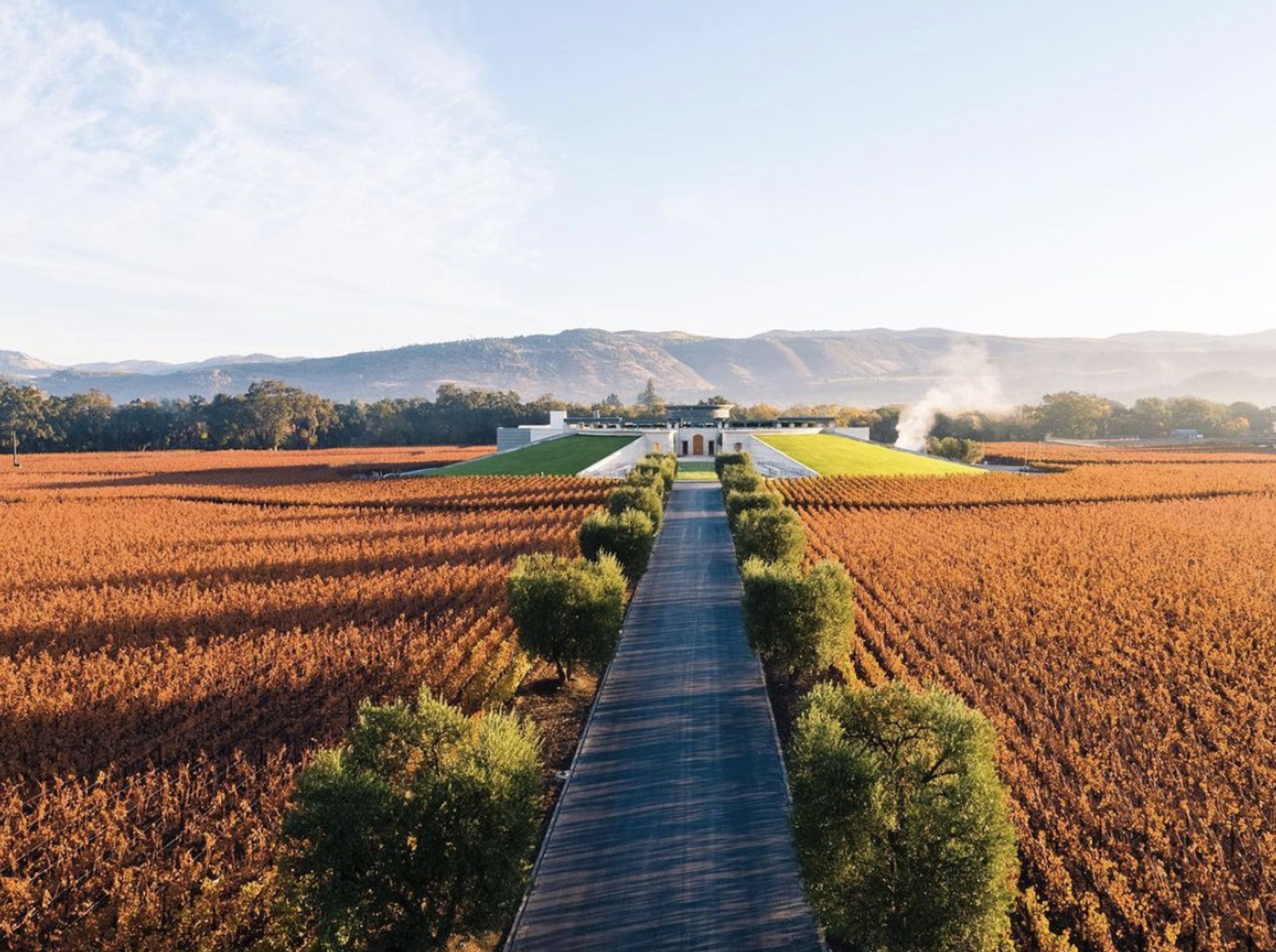 Cover photo of Opus One