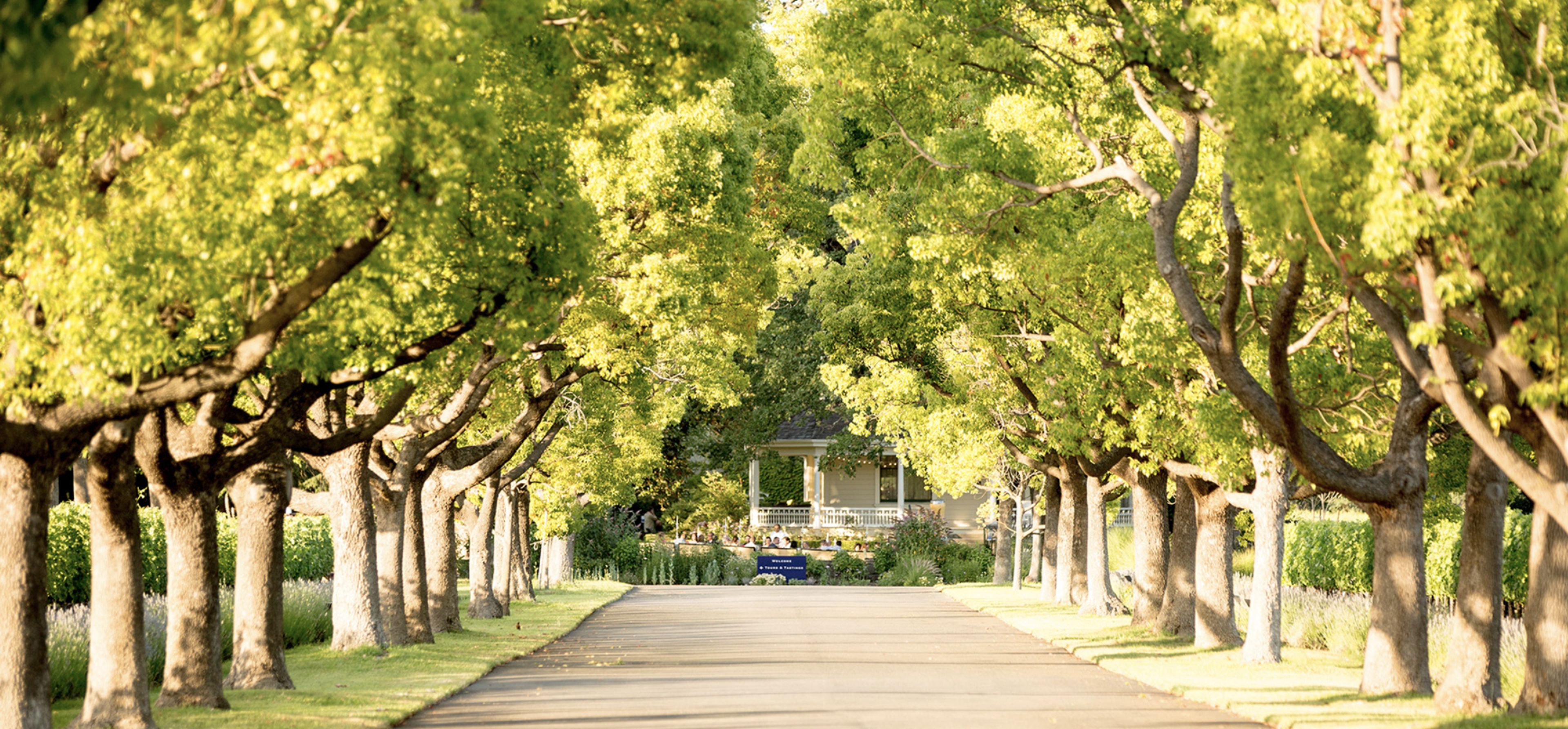 Cover photo of St. Supéry Estate Vineyards & Winery