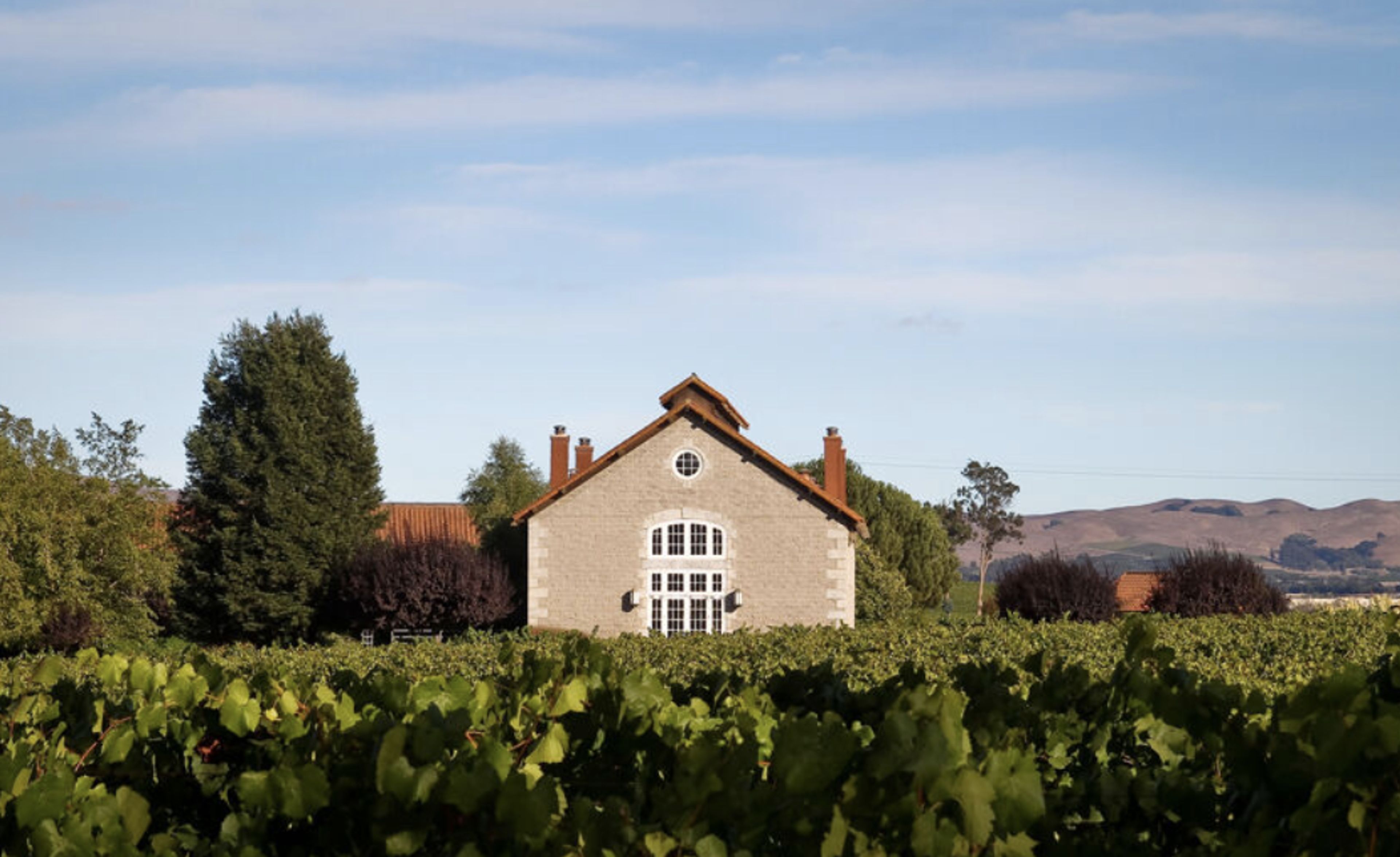 Cover photo of Etude