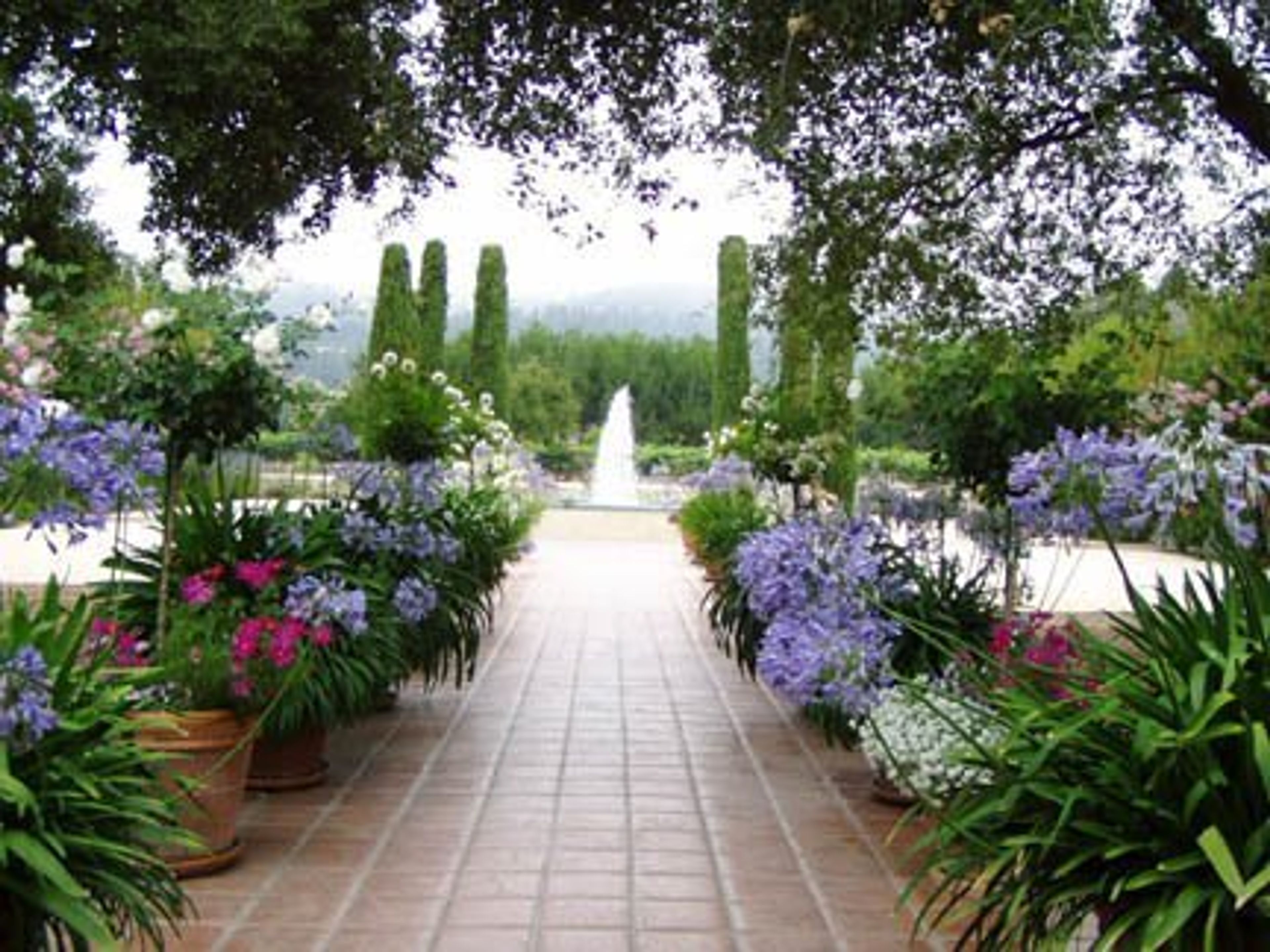 Cover photo of Landmark Vineyards