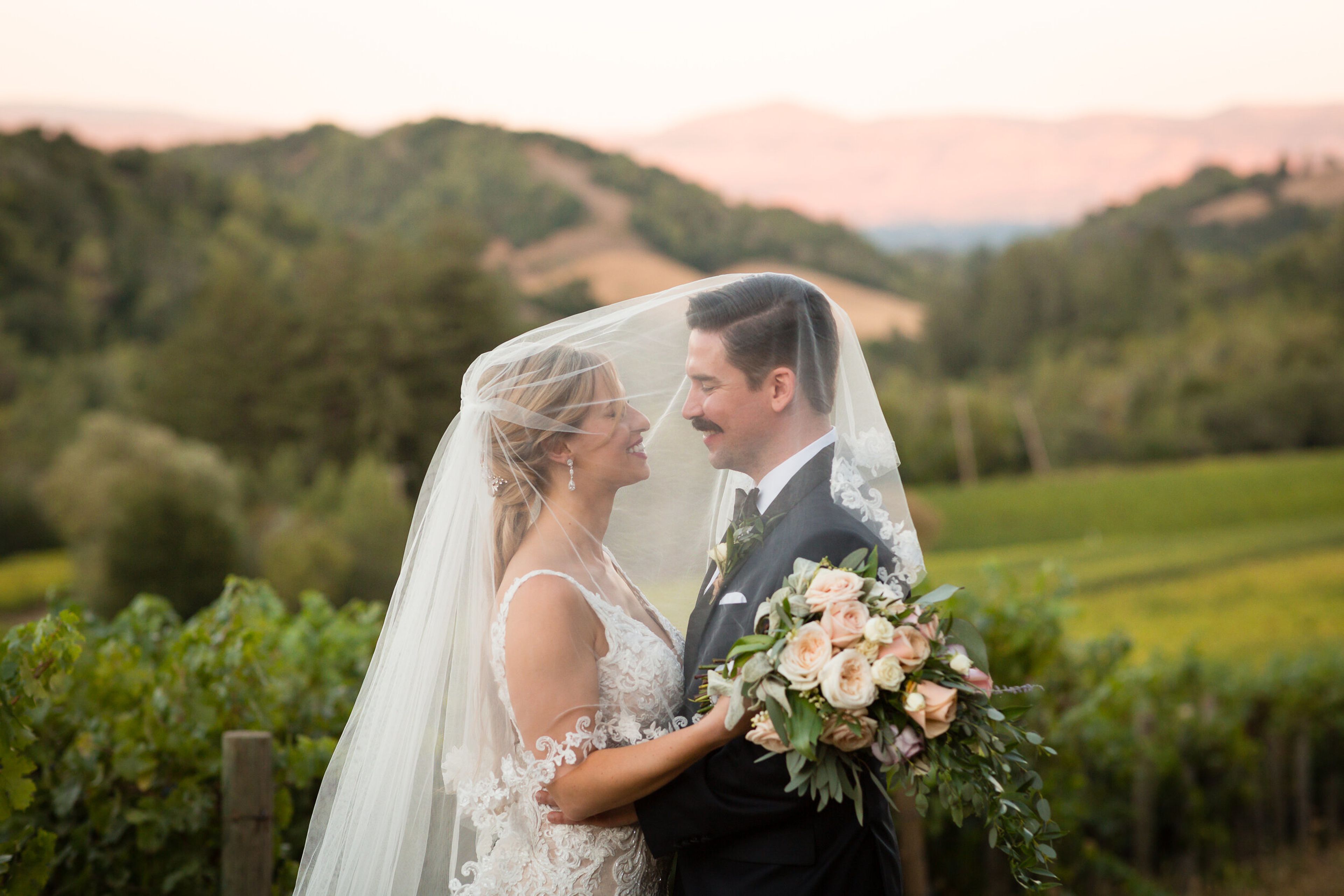 Cover photo of Mont La Salle