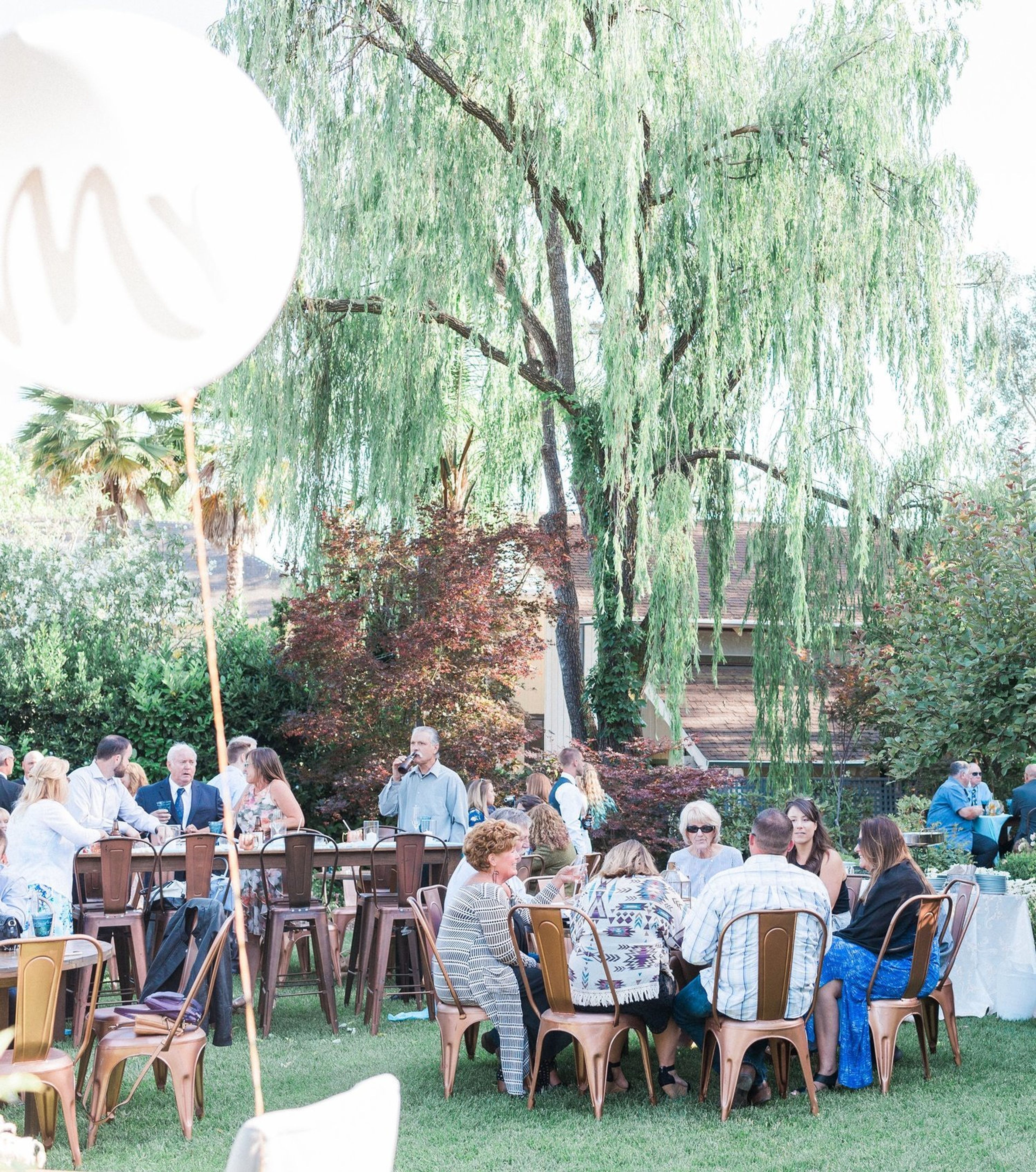 Cover photo of The Maysonnave House