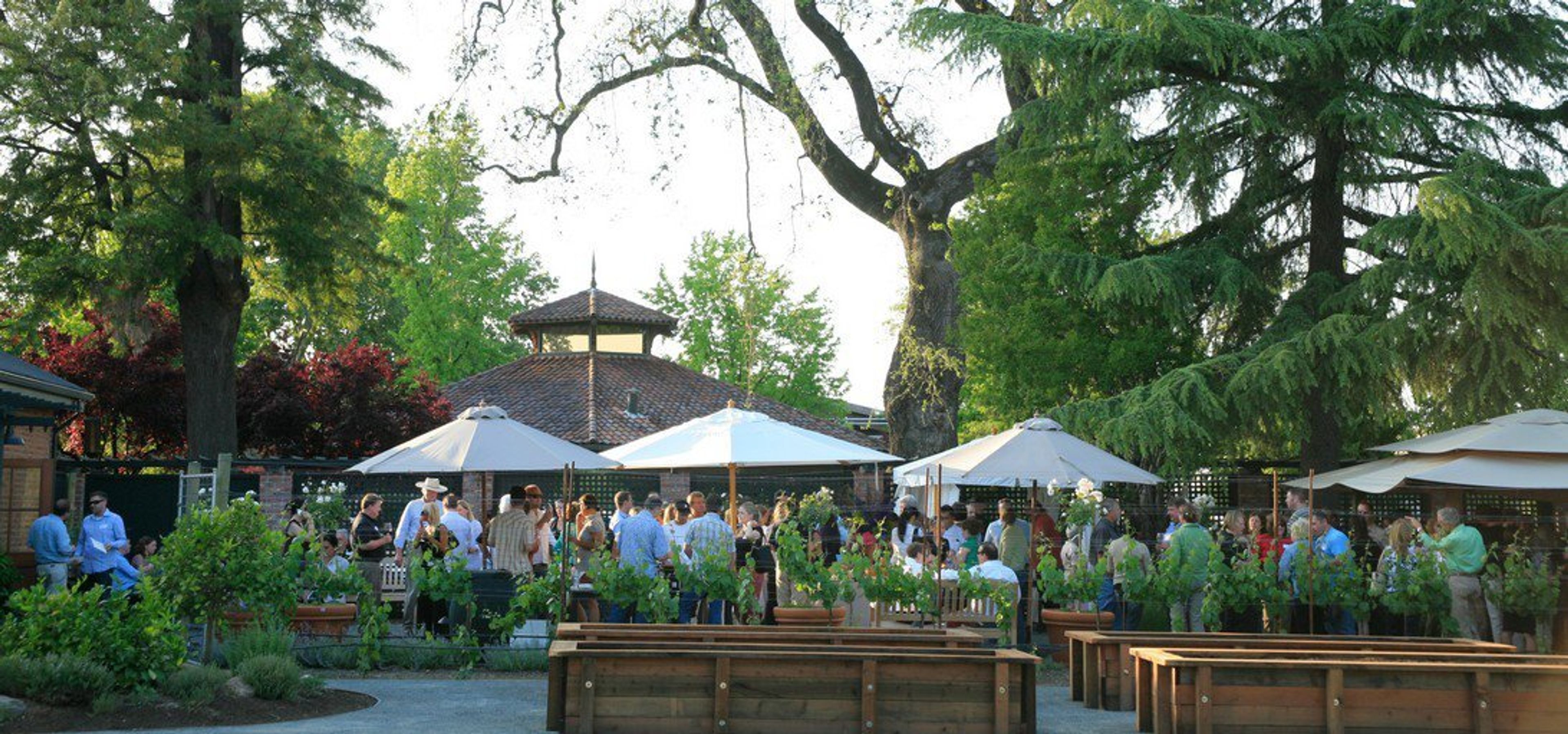 Cover photo of Elizabeth Spencer Winery