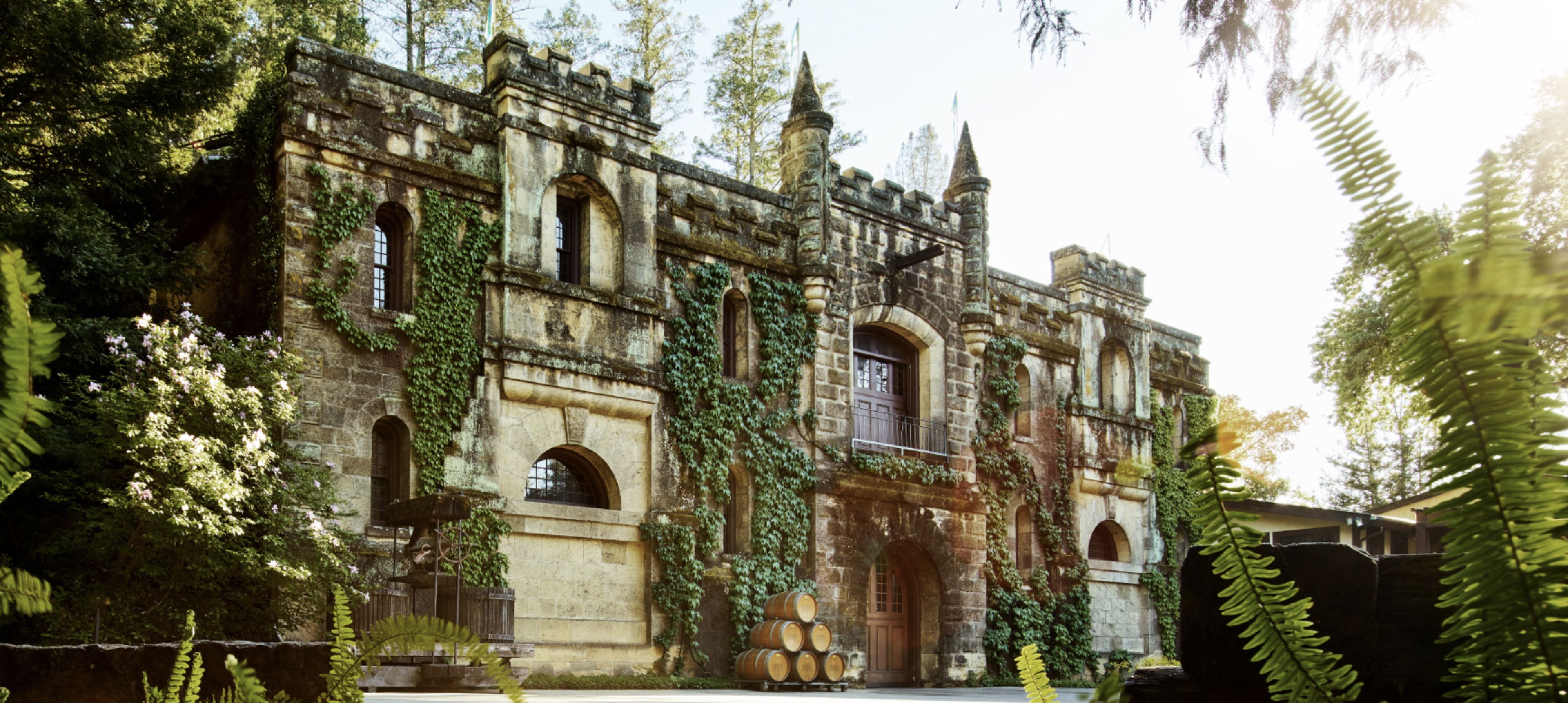 Cover photo of Chateau Montelena