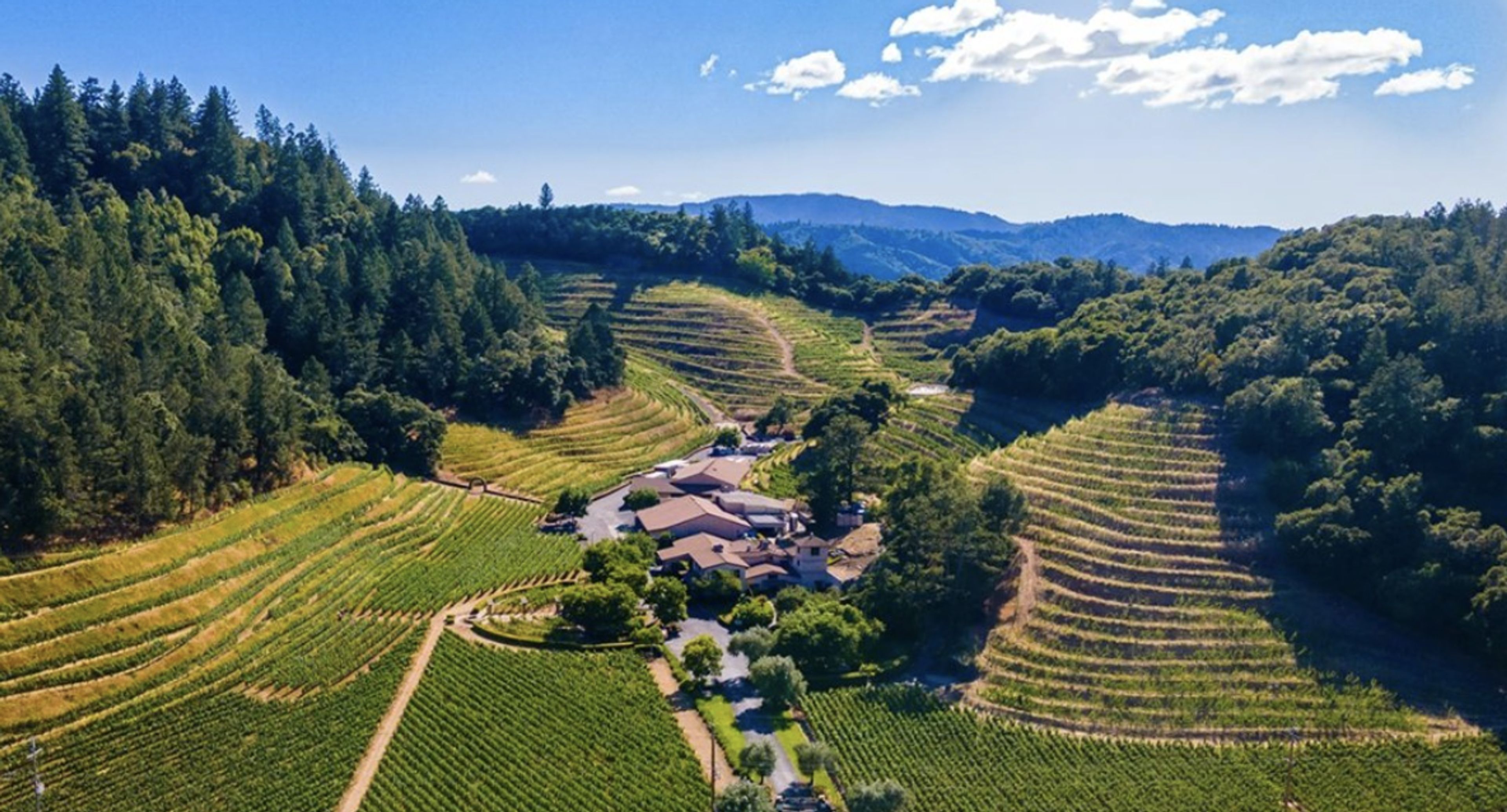Cover photo of Pine Ridge Vineyards