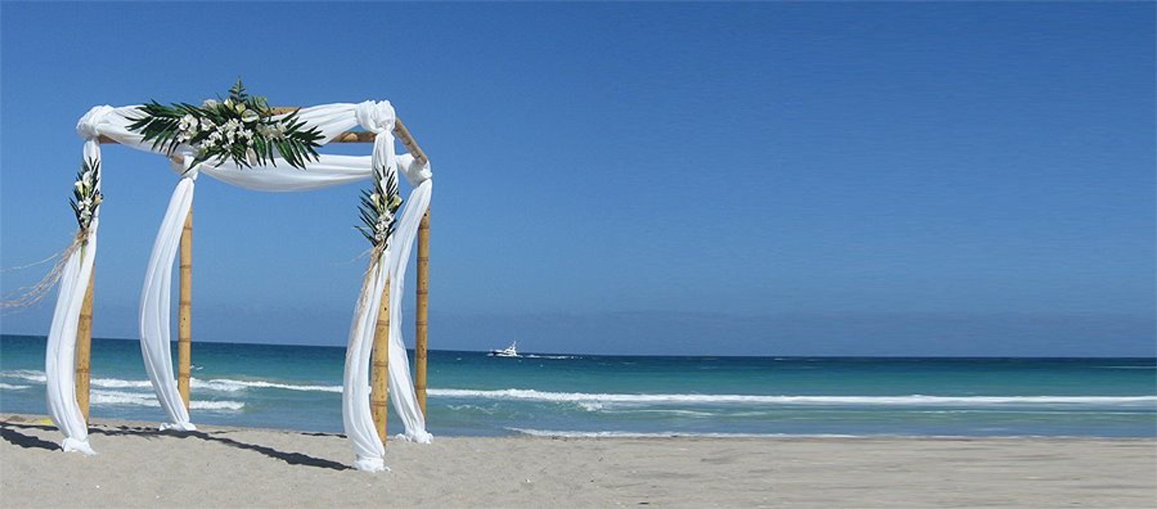 Cover photo of Solea Events