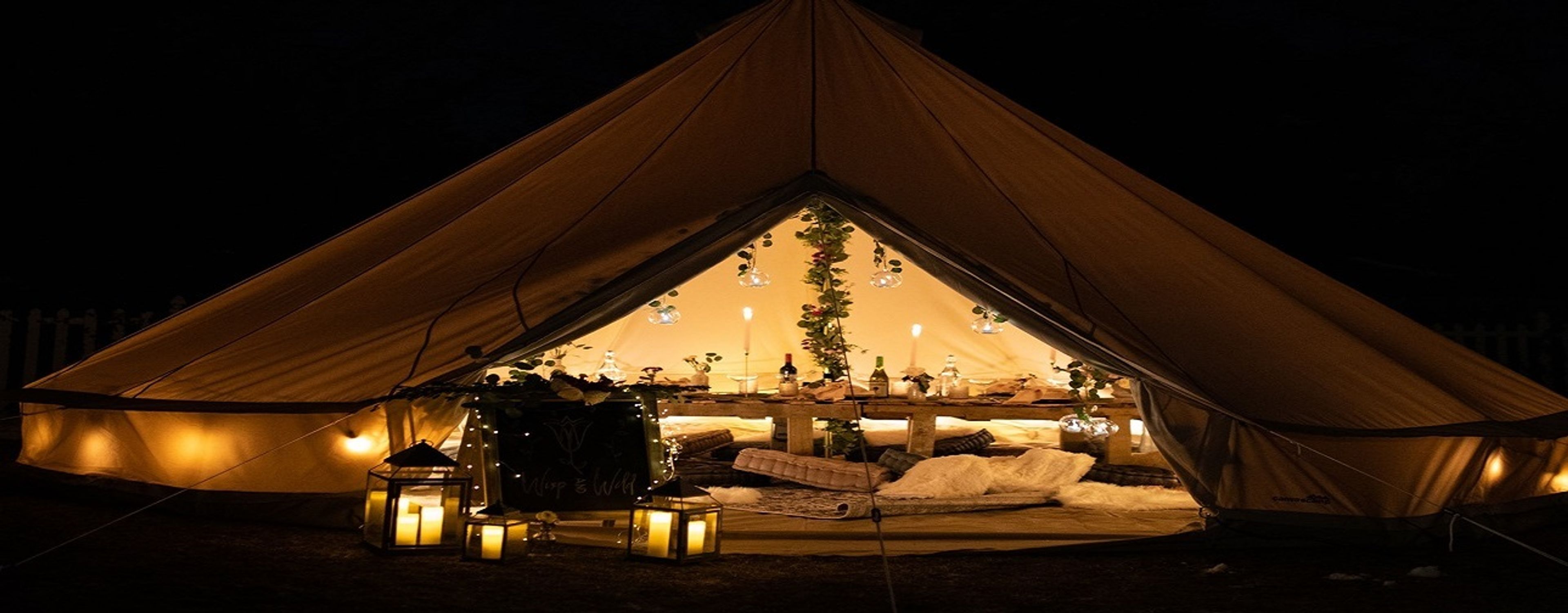 Cover photo of Wisp and Wild