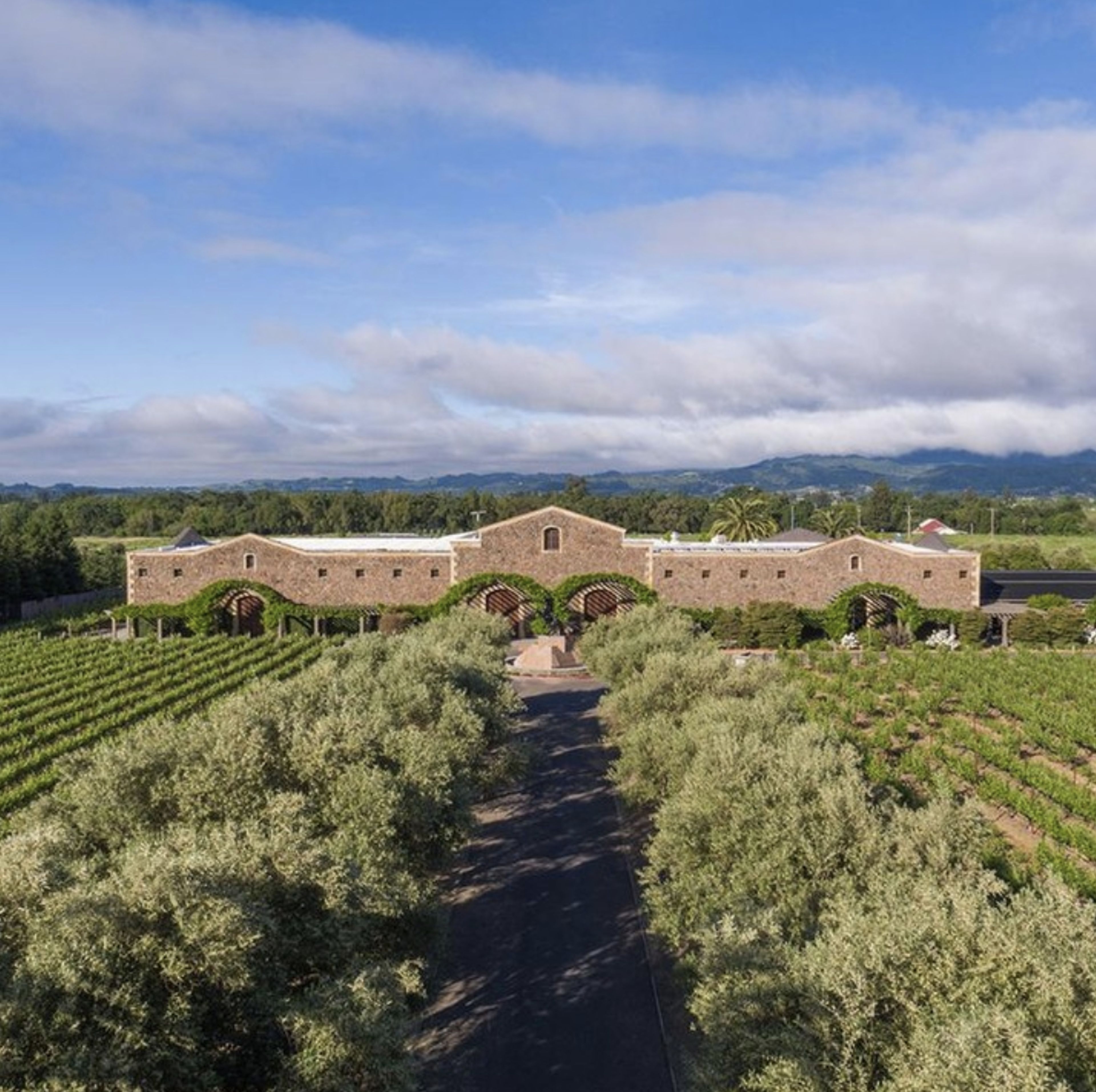 Cover photo of Black Stallion Estate Winery