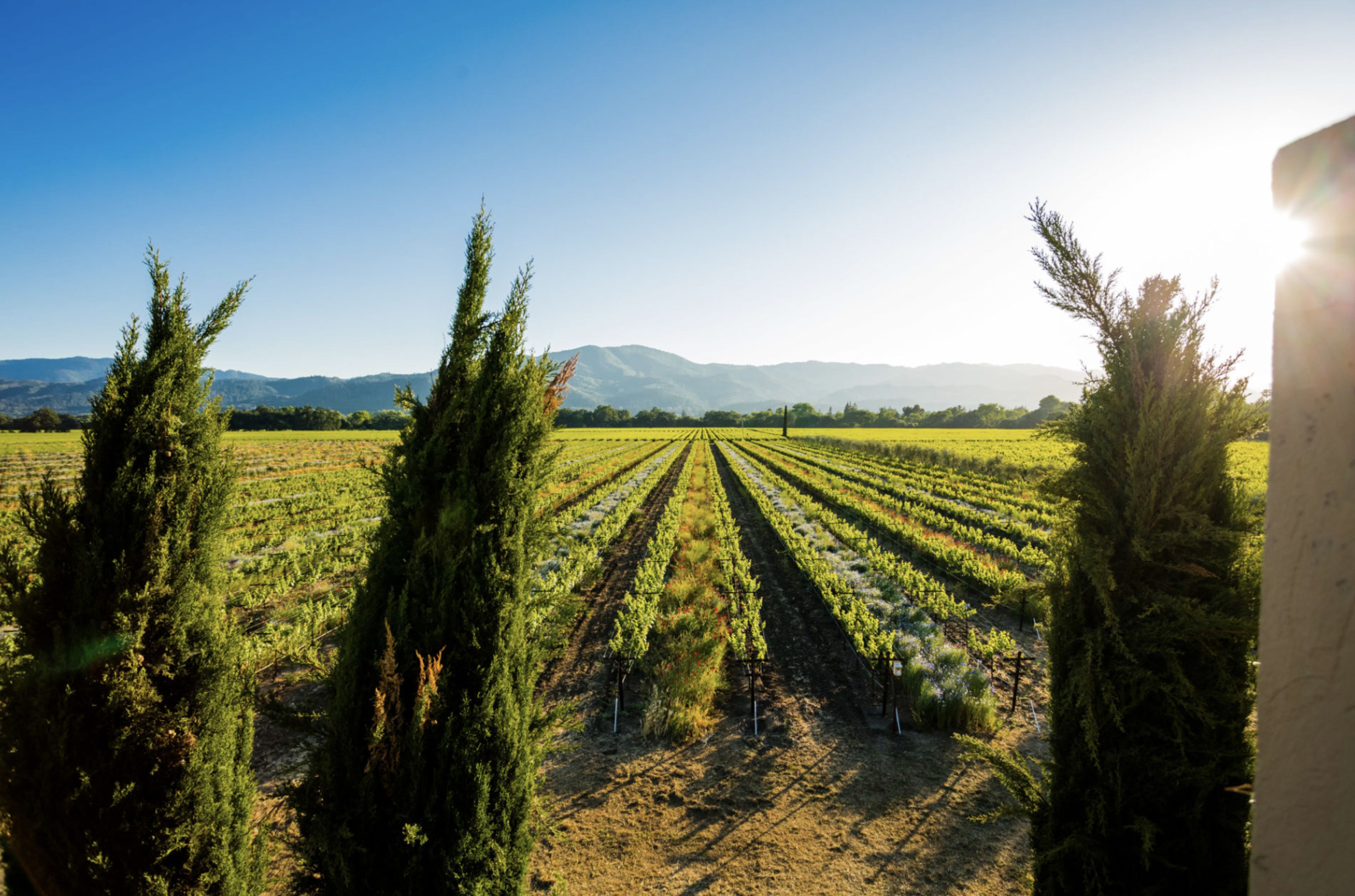 Cover photo of Round Pond Estate