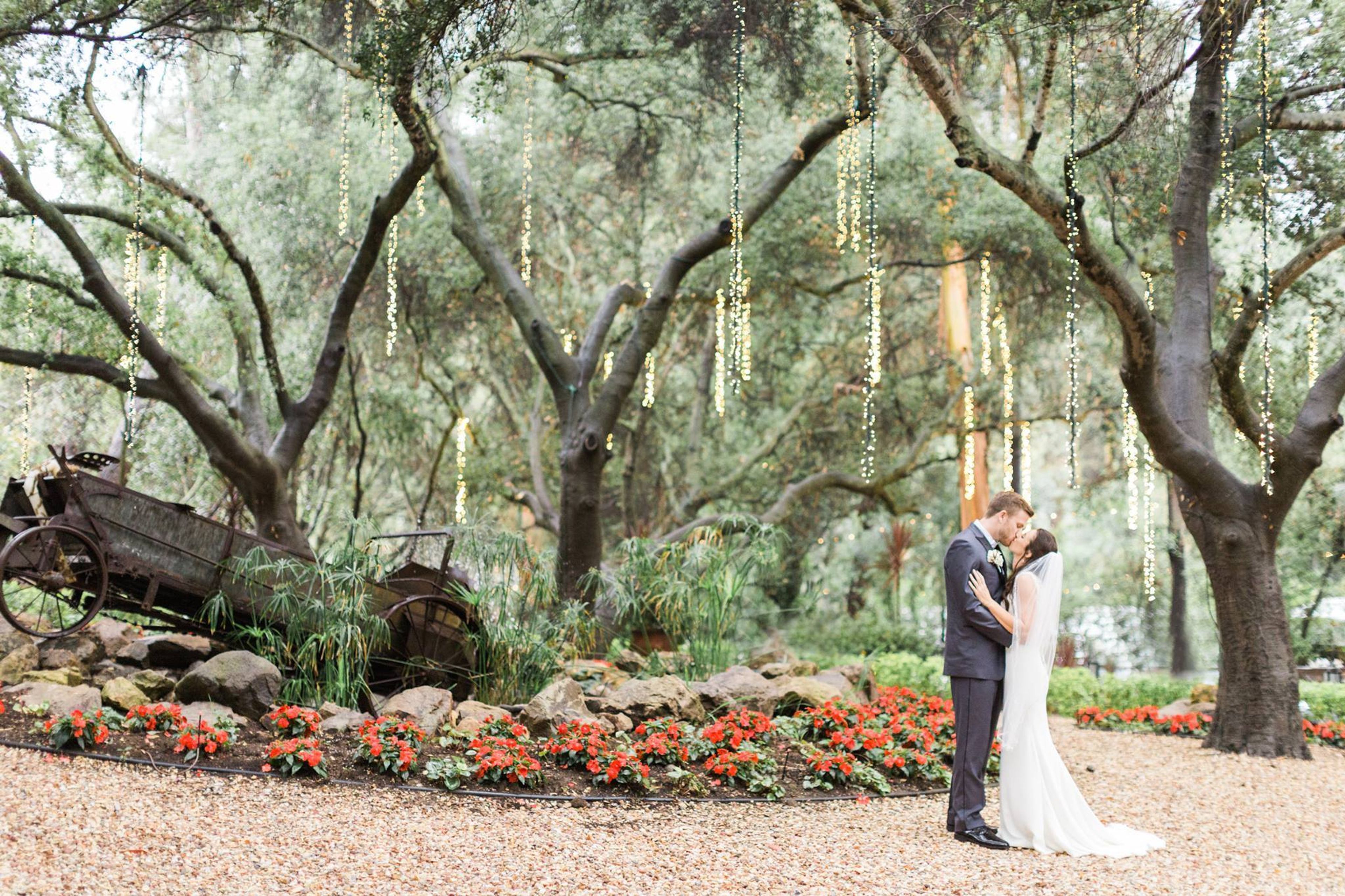 Cover photo of The Redwood Room