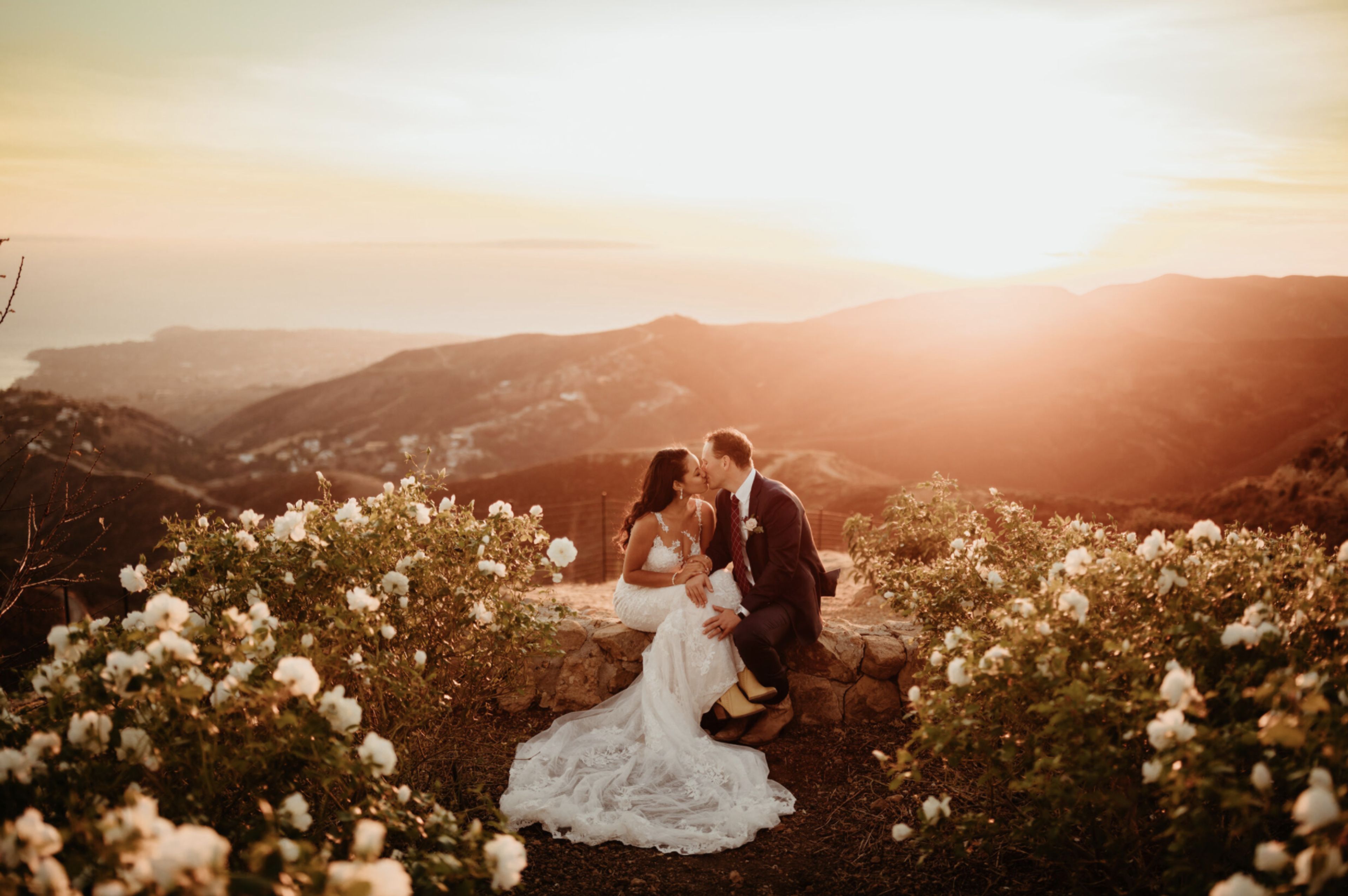 Cover photo of Malibu Solstice Vineyards