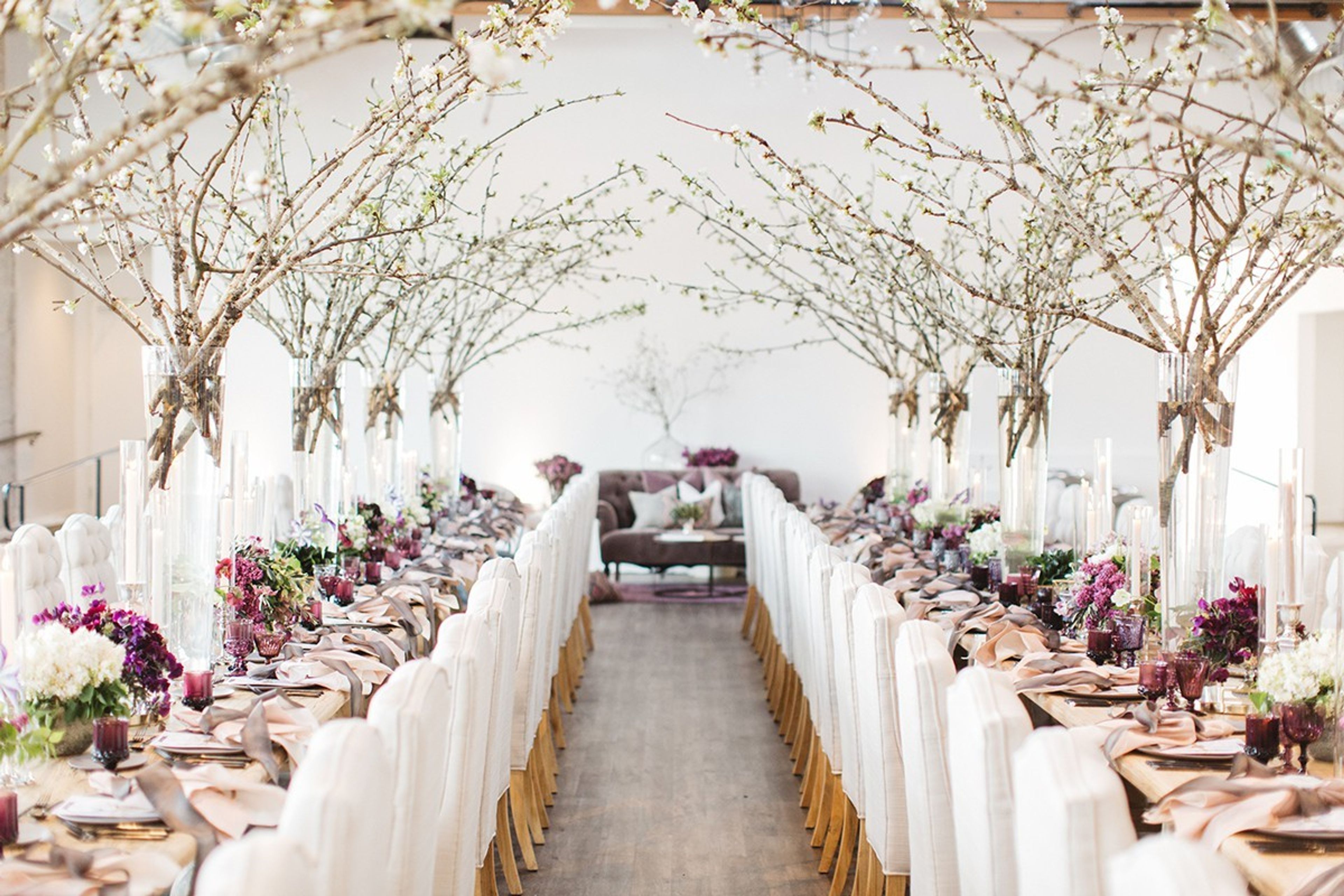 Cover photo of The 1912