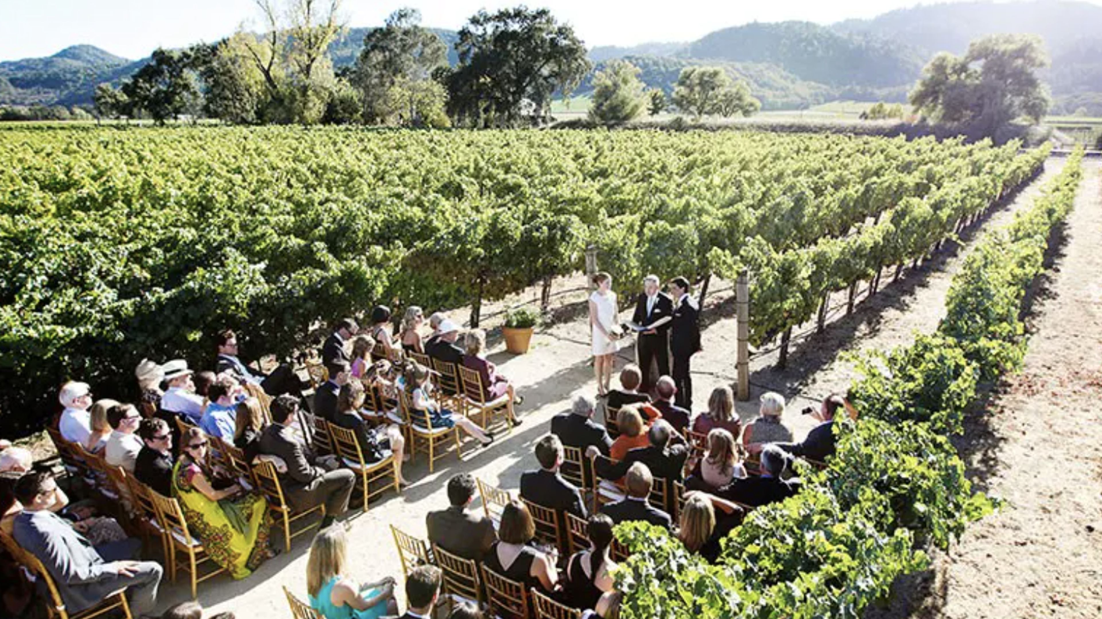 Cover photo of Brix Napa Valley