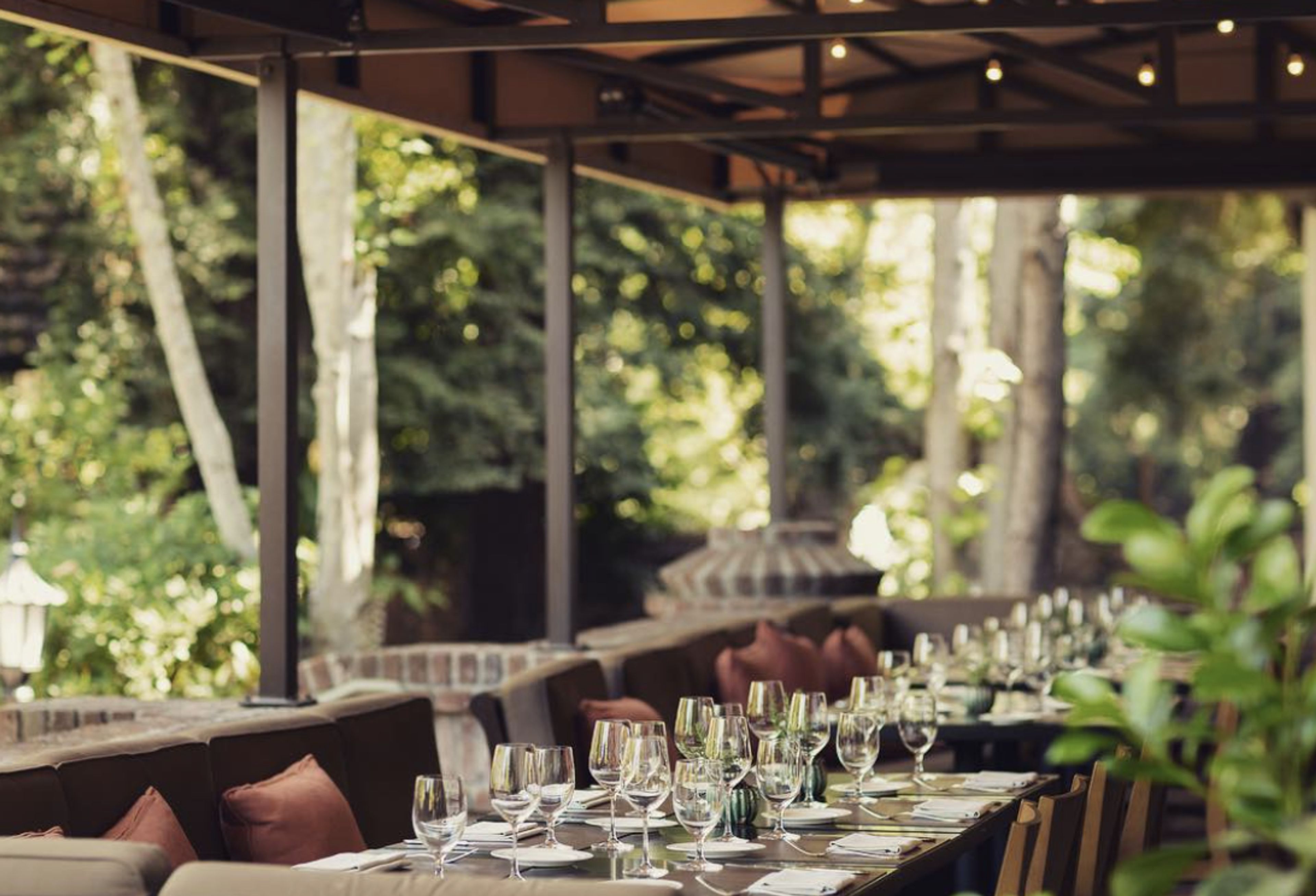 Cover photo of Harvest Table St. Helena