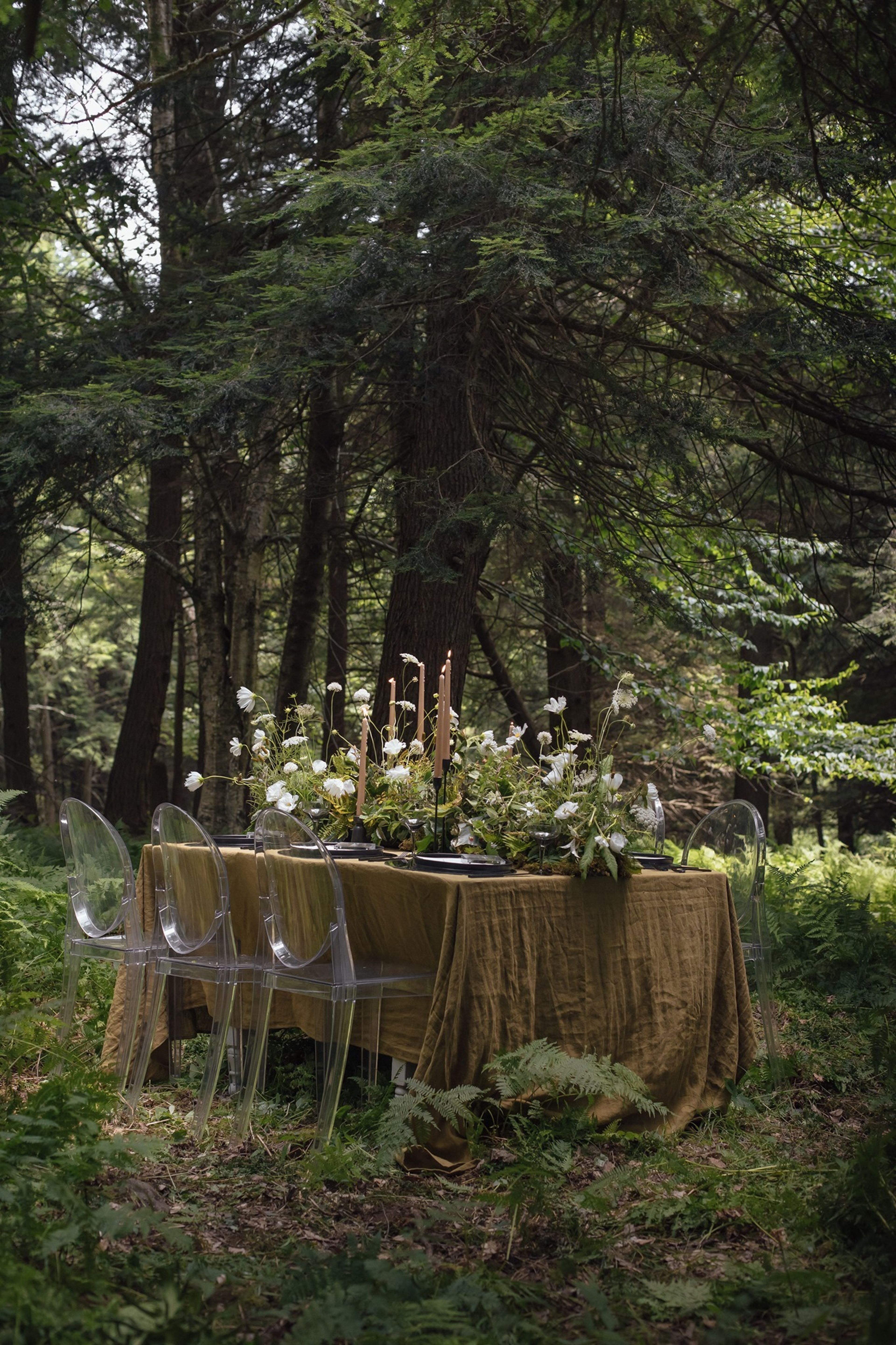 Cover photo of Modern Kicks