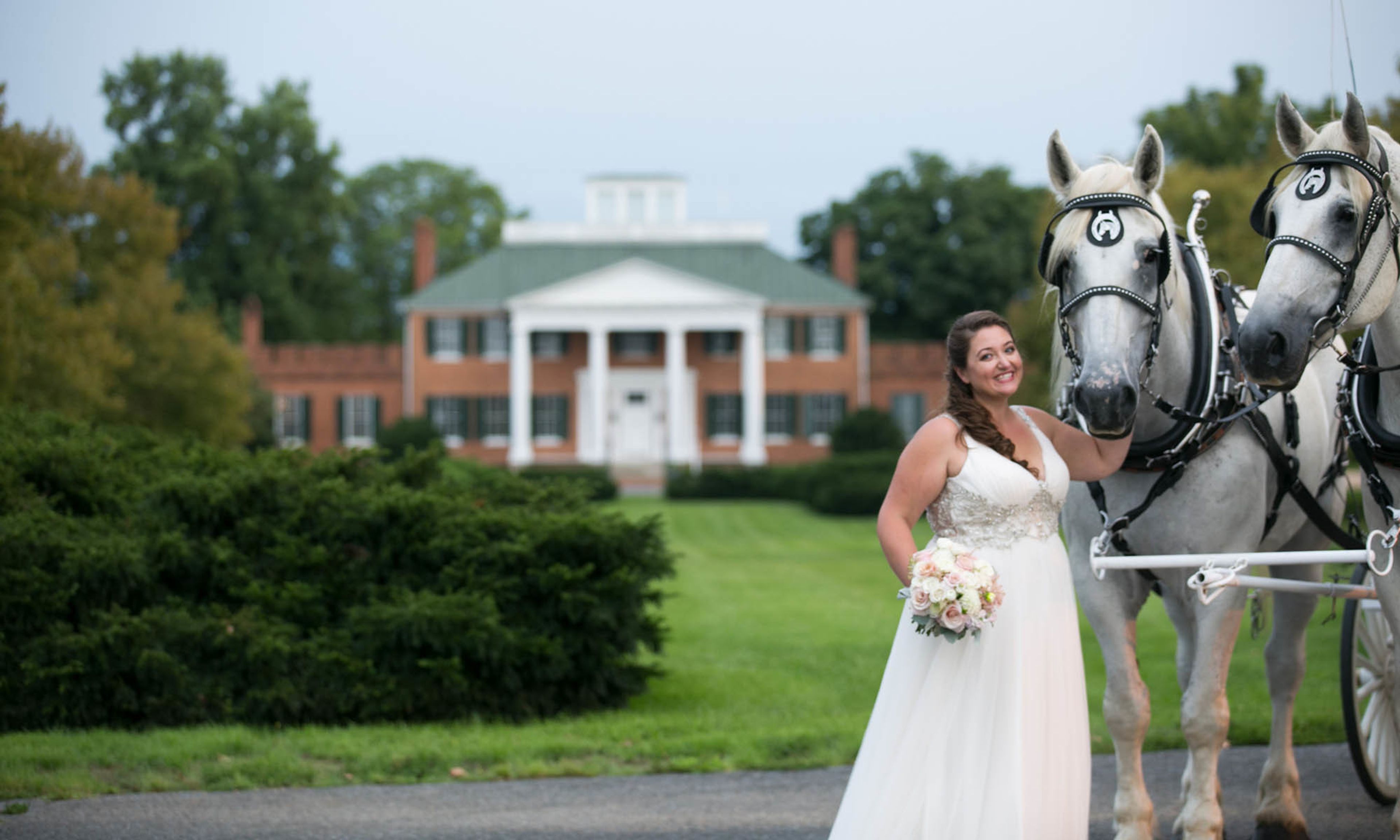 Cover photo of Julie Napear Photography