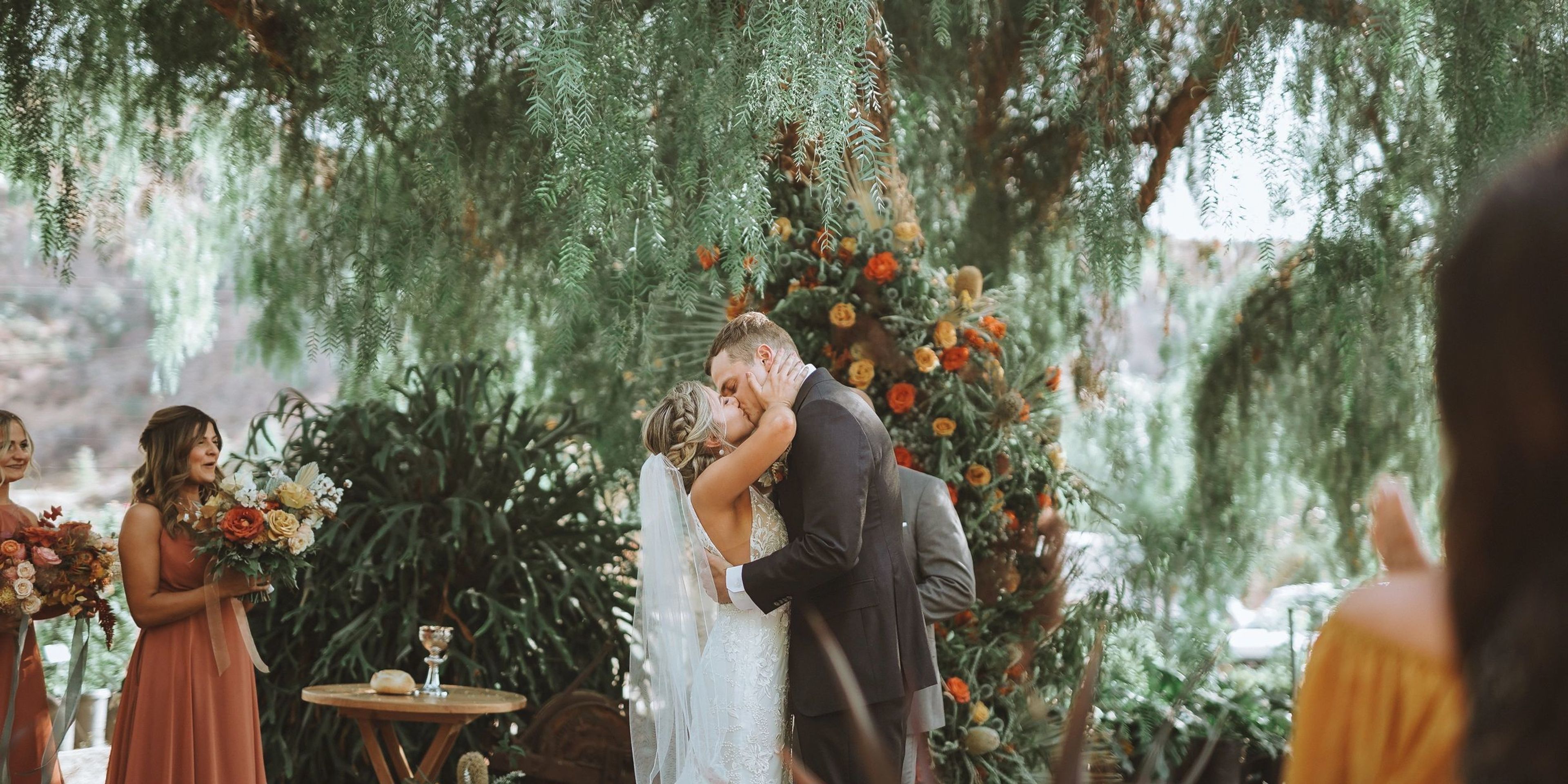 Cover photo of Plantenders Nursery