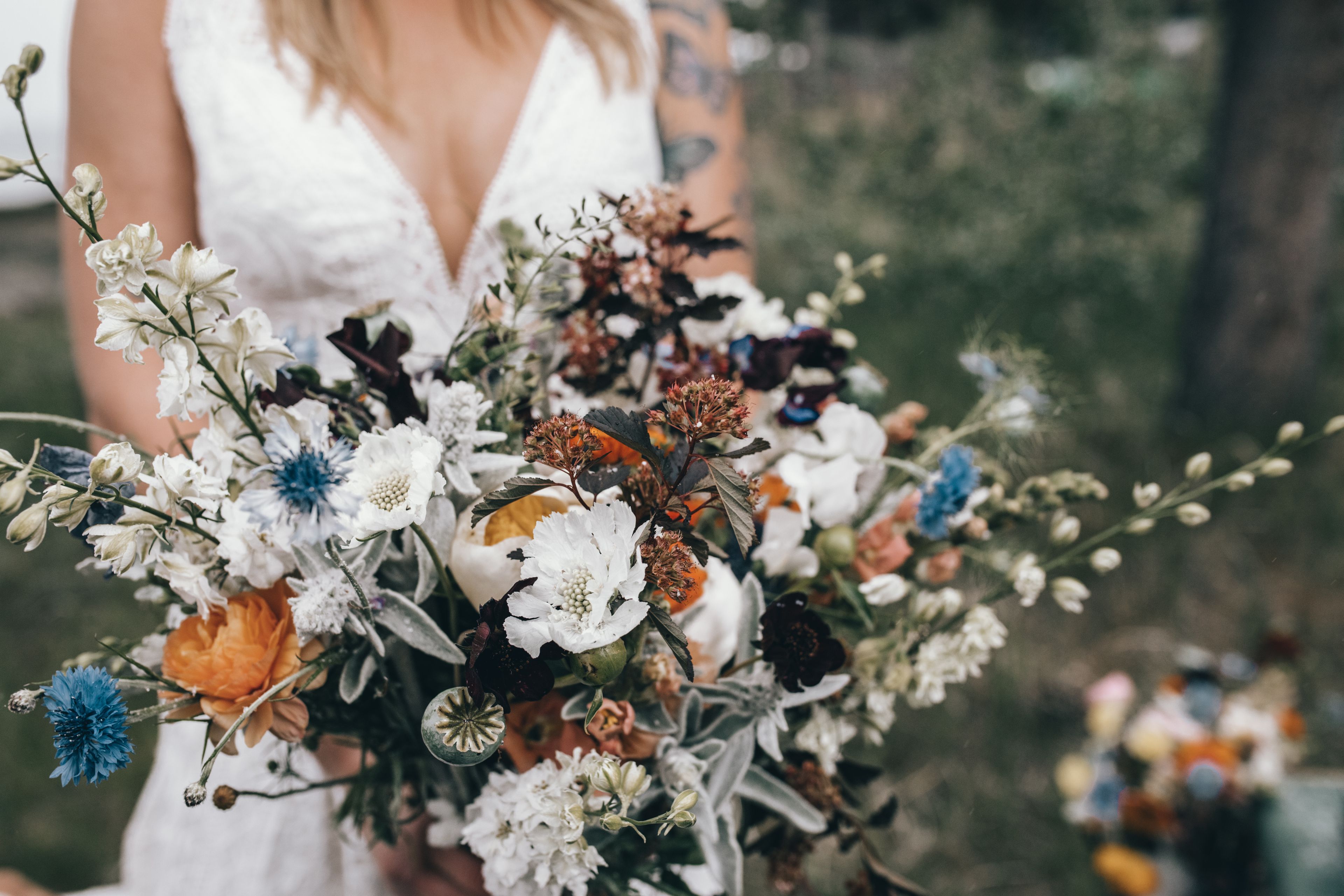 Cover photo of Mountain Thyme Events