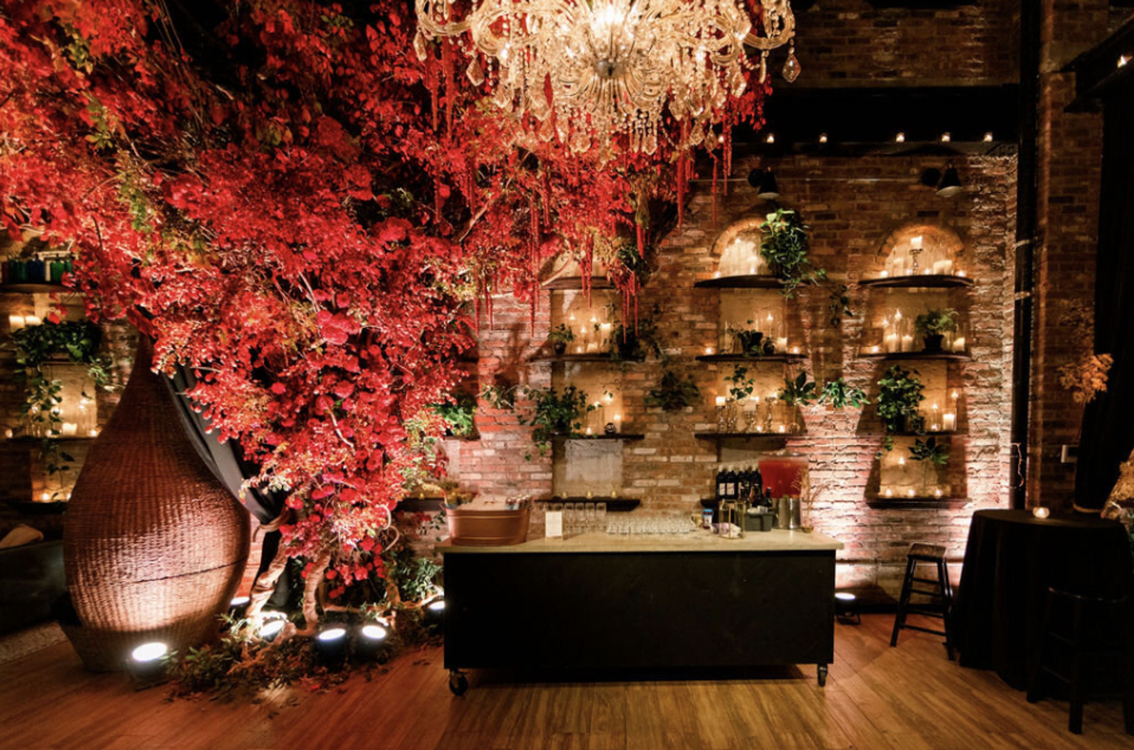 Cover photo of The Pink Moon