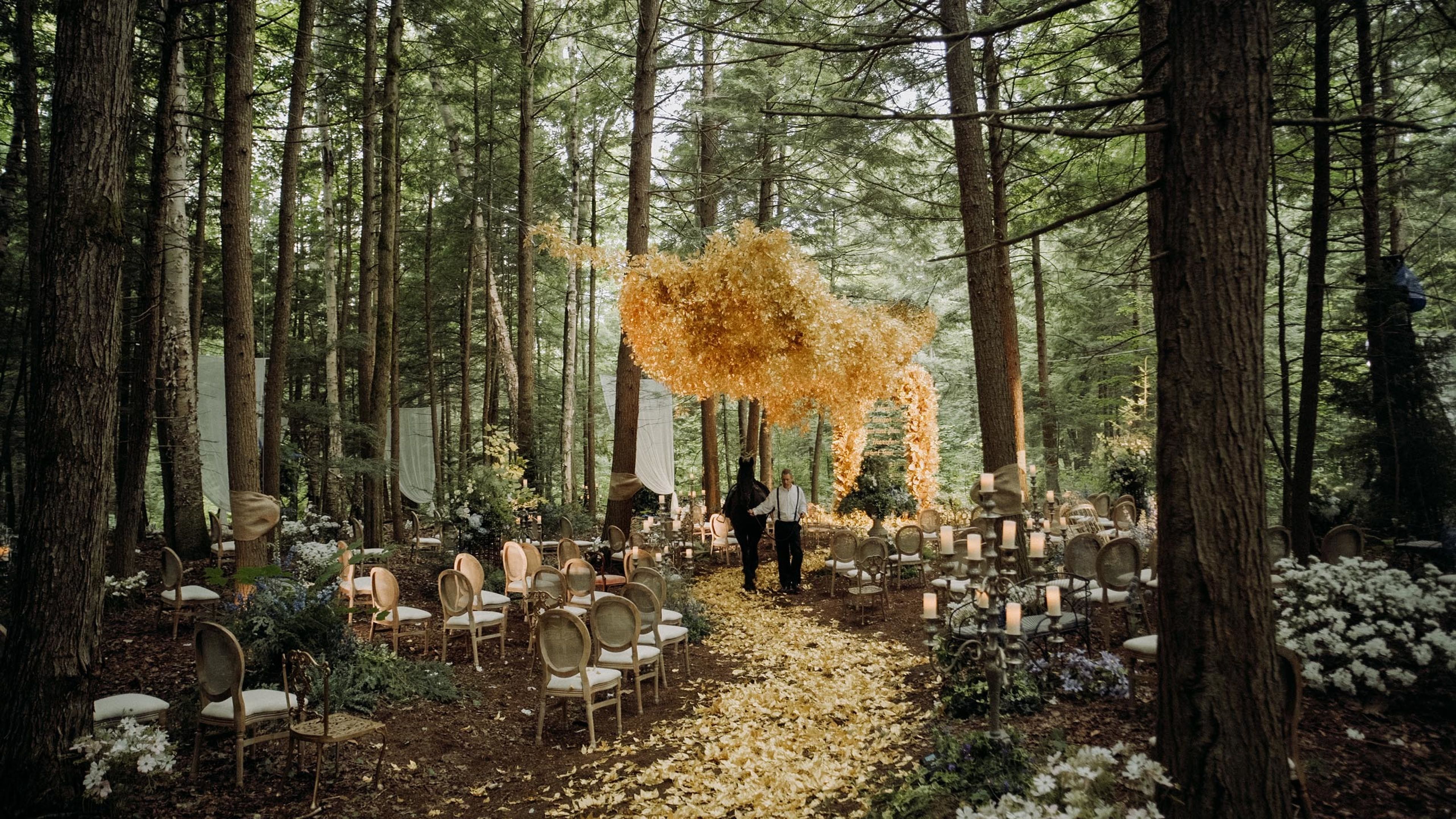 Cover photo of DC Film Co.