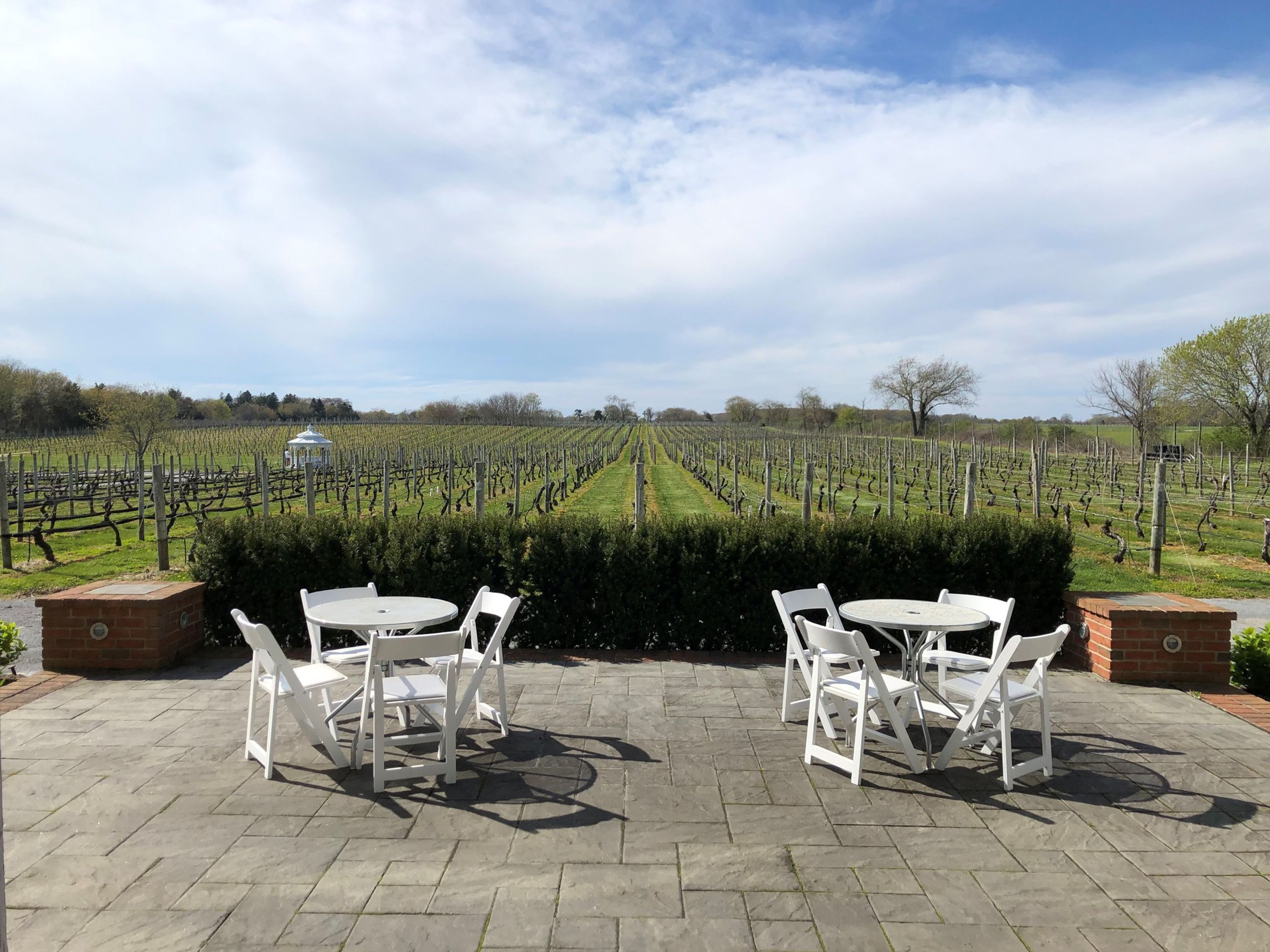 Cover photo of Pellegrini Vineyards