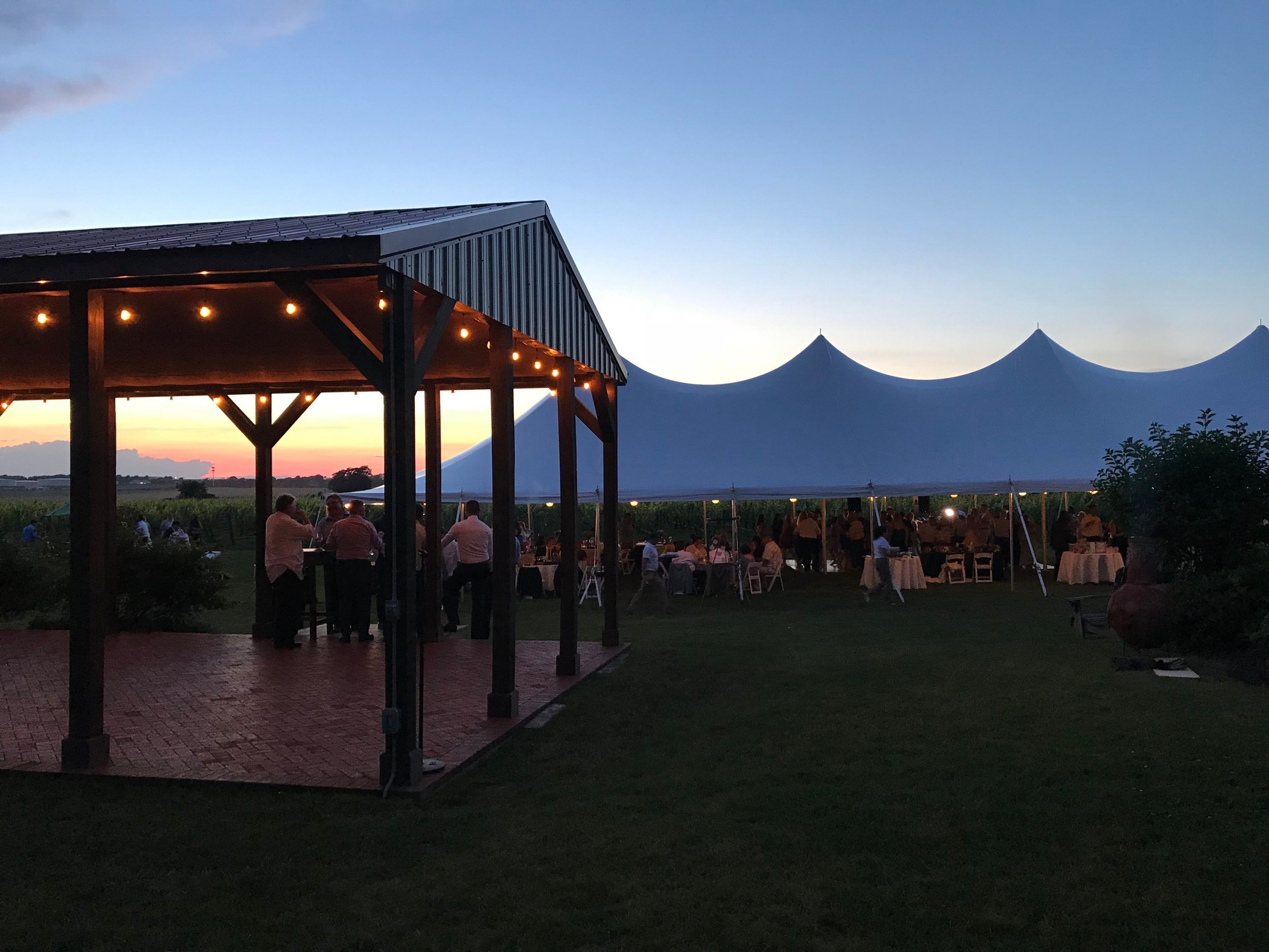 Cover photo of Palmer Vineyards