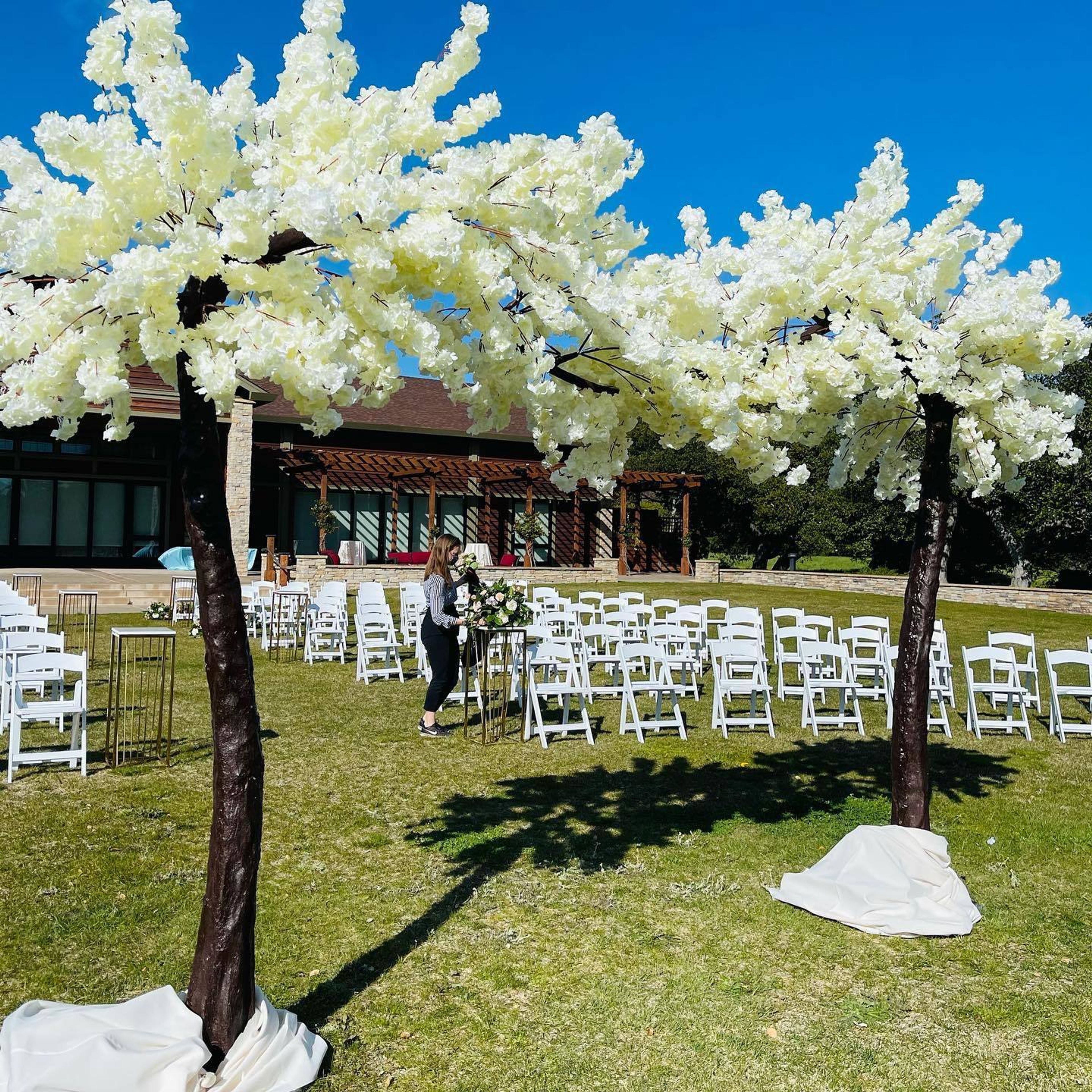 Cover photo of Peacock Gap