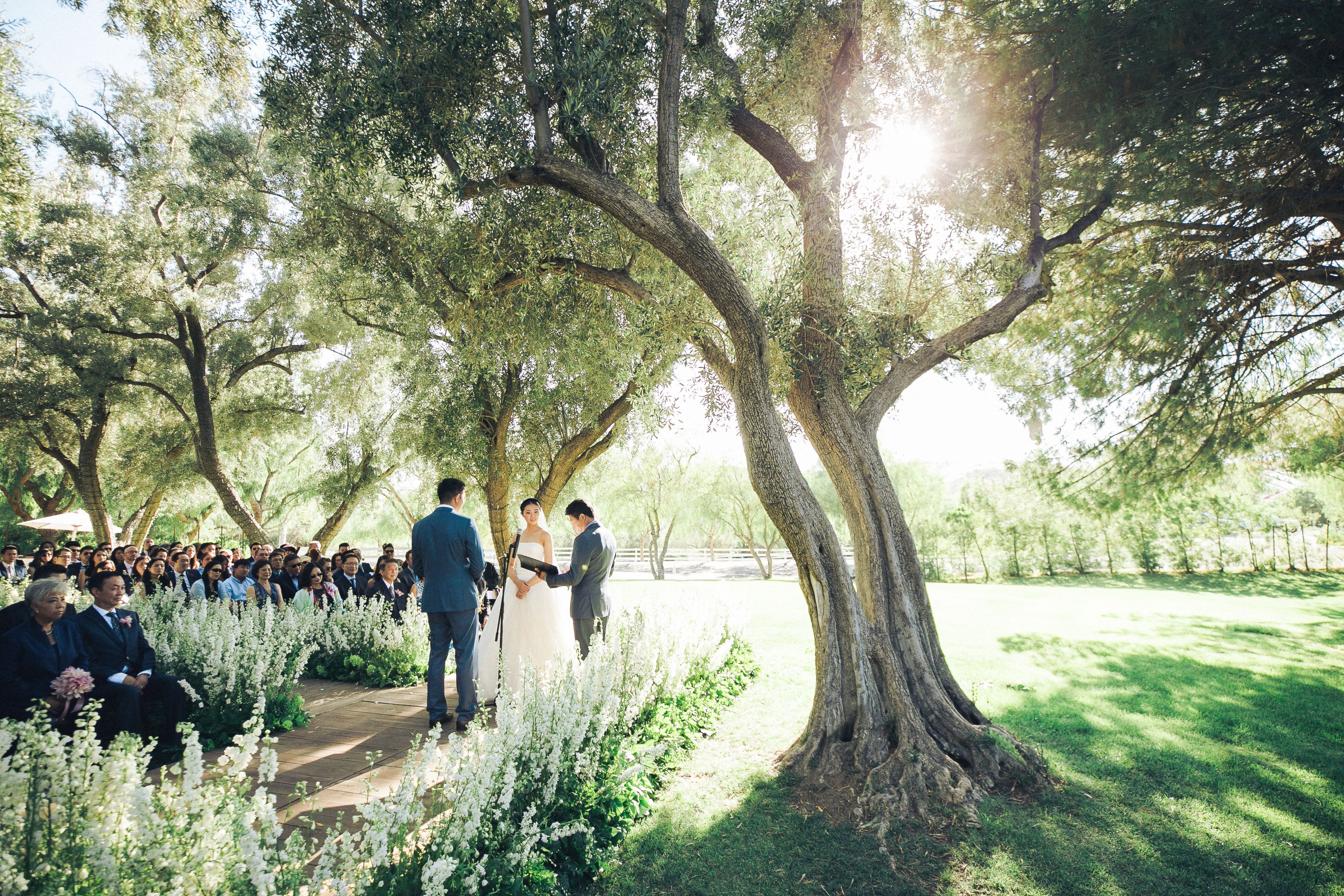 Cover photo of Jim Lee Vision