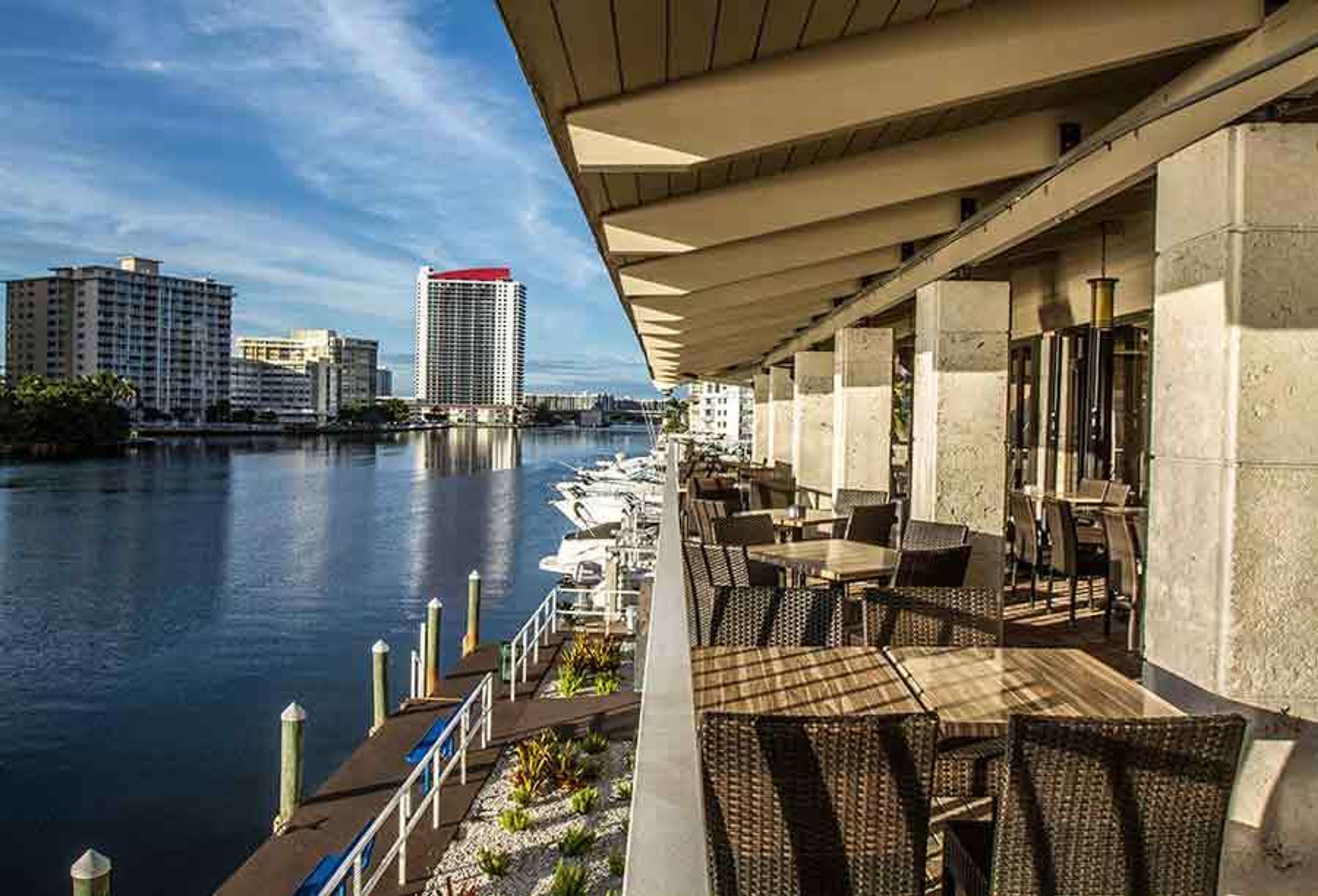 Cover photo of Juniper on the Water