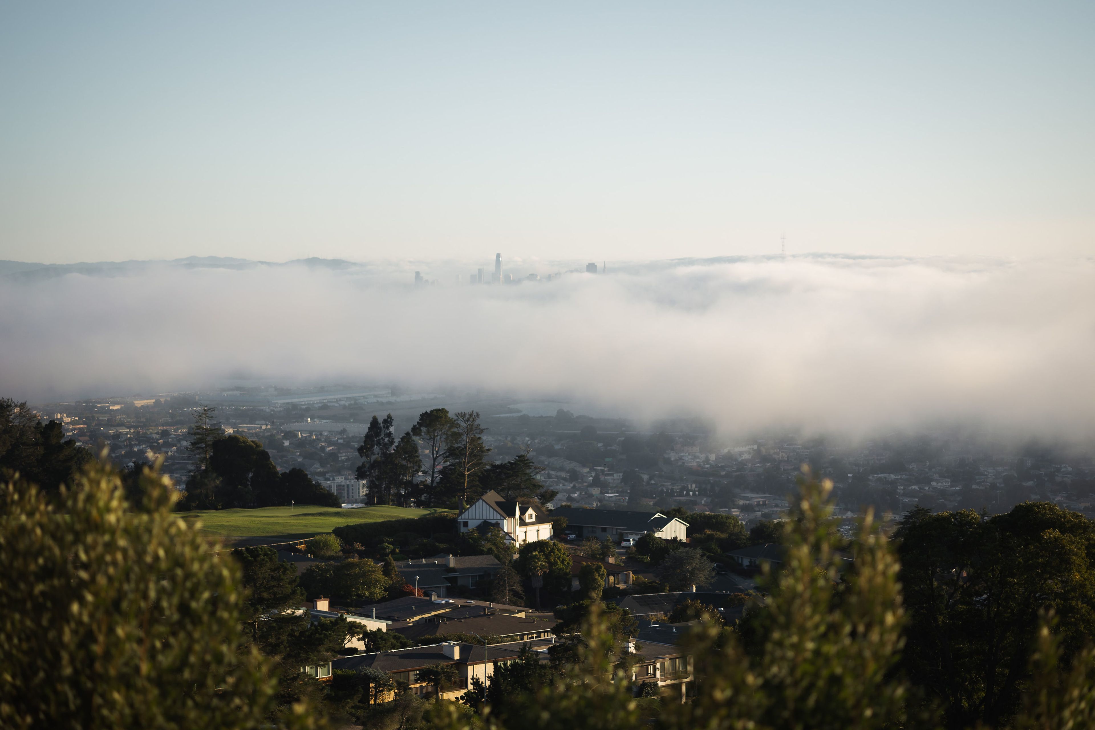 Cover photo of Berkeley Country Club