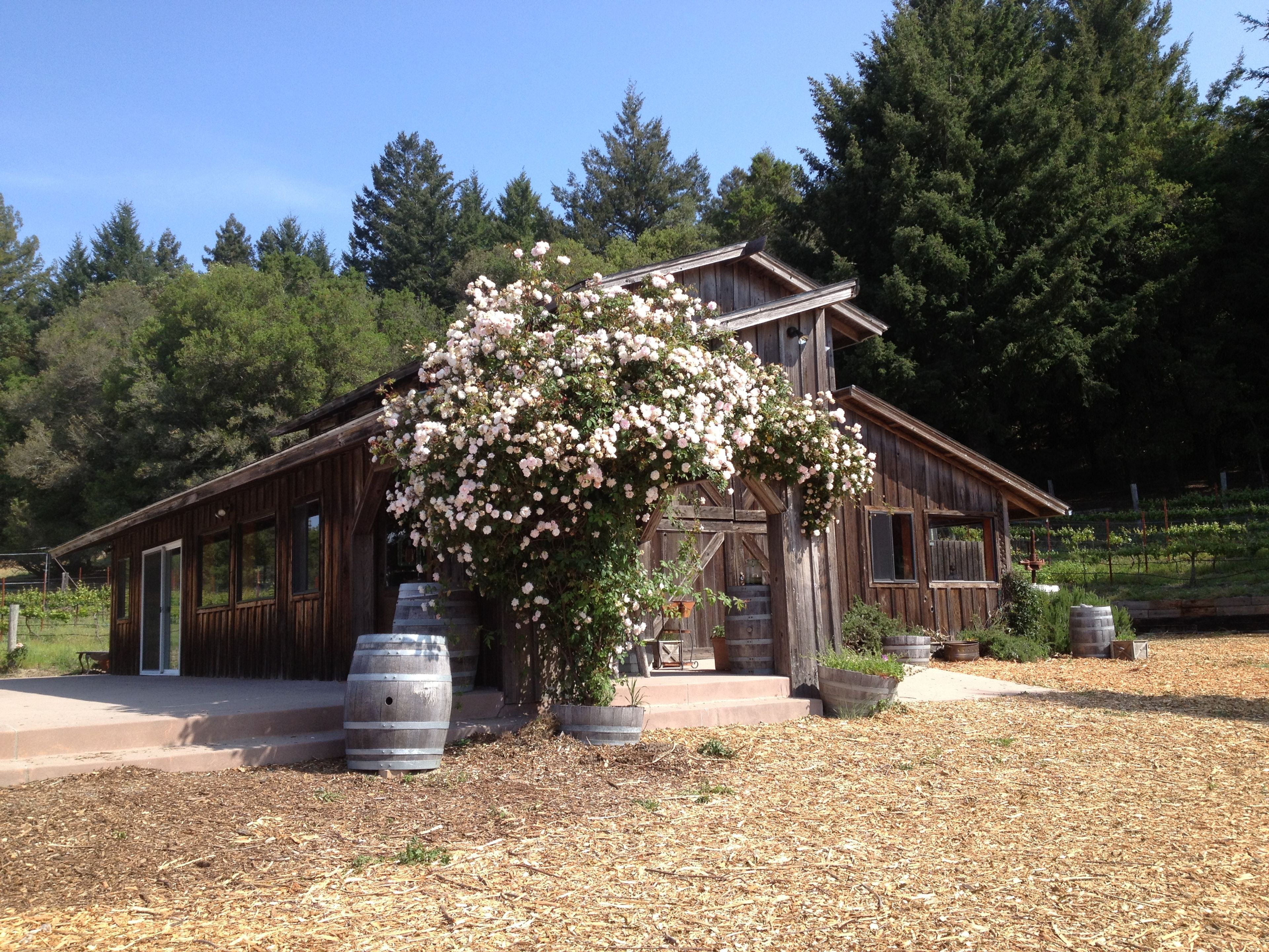 Cover photo of Redwood Ridge Estate