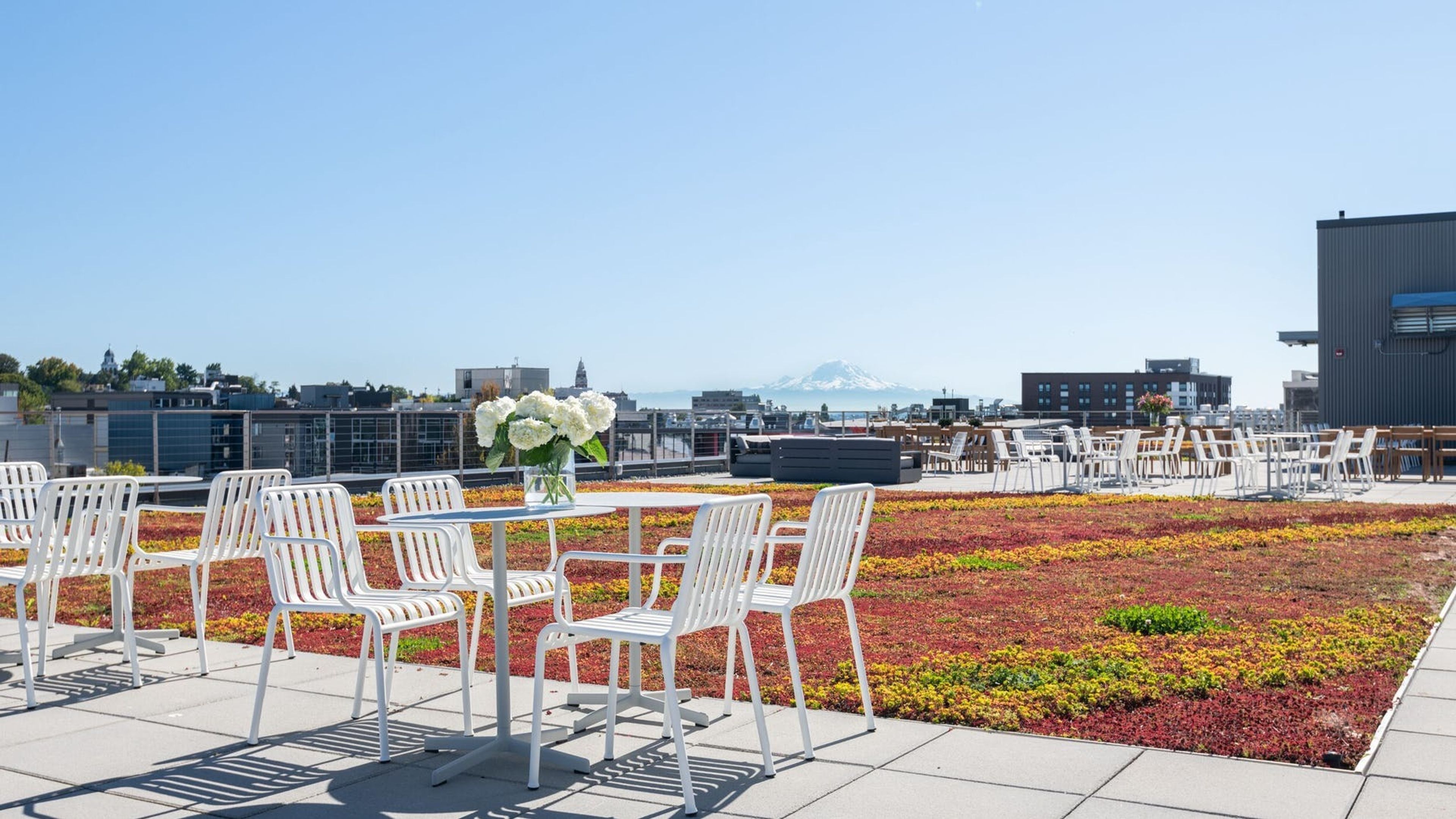 Cover photo of The Rooftop at Cap Hill by WeWork