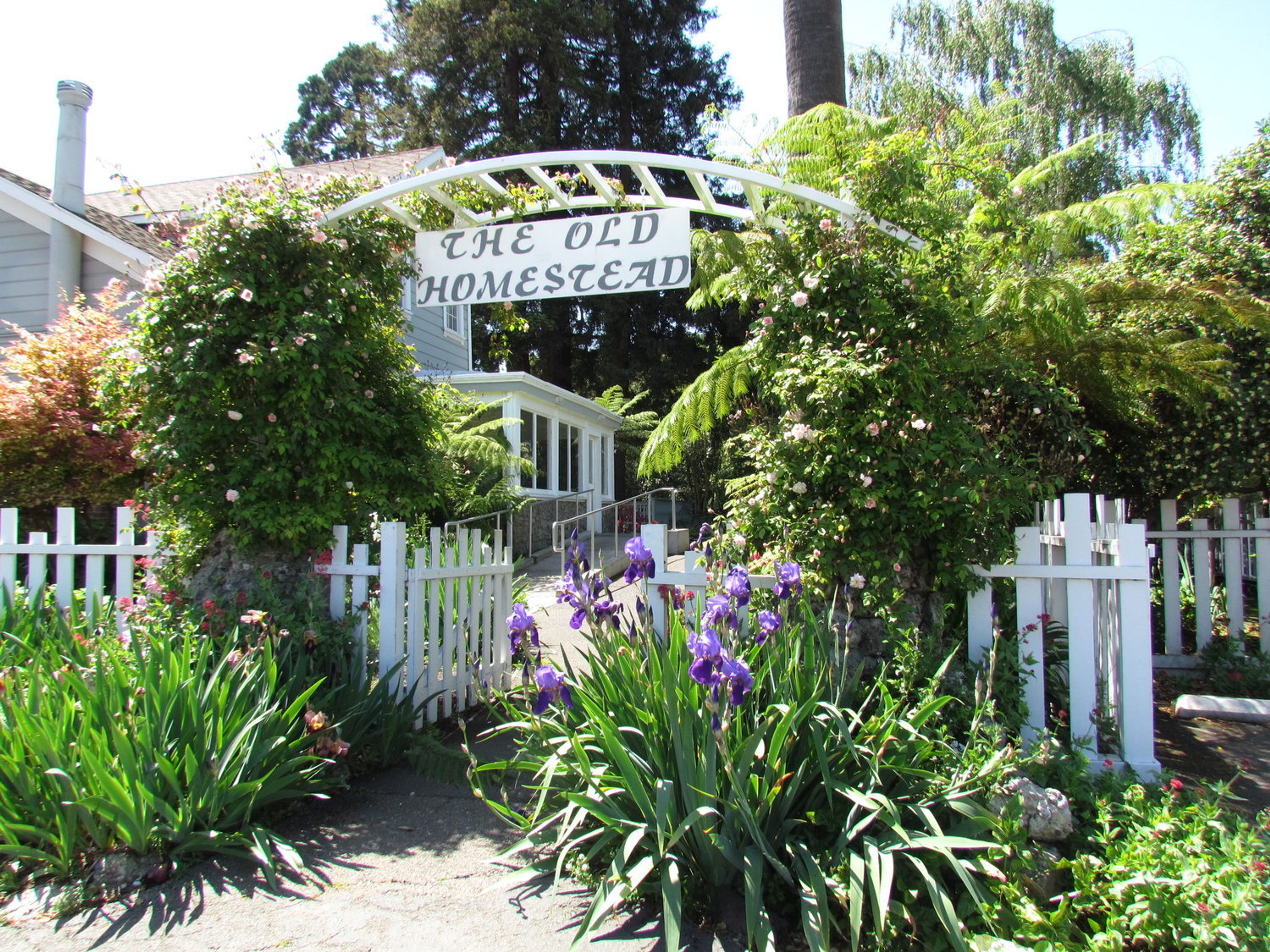 Cover photo of The Old Homestead