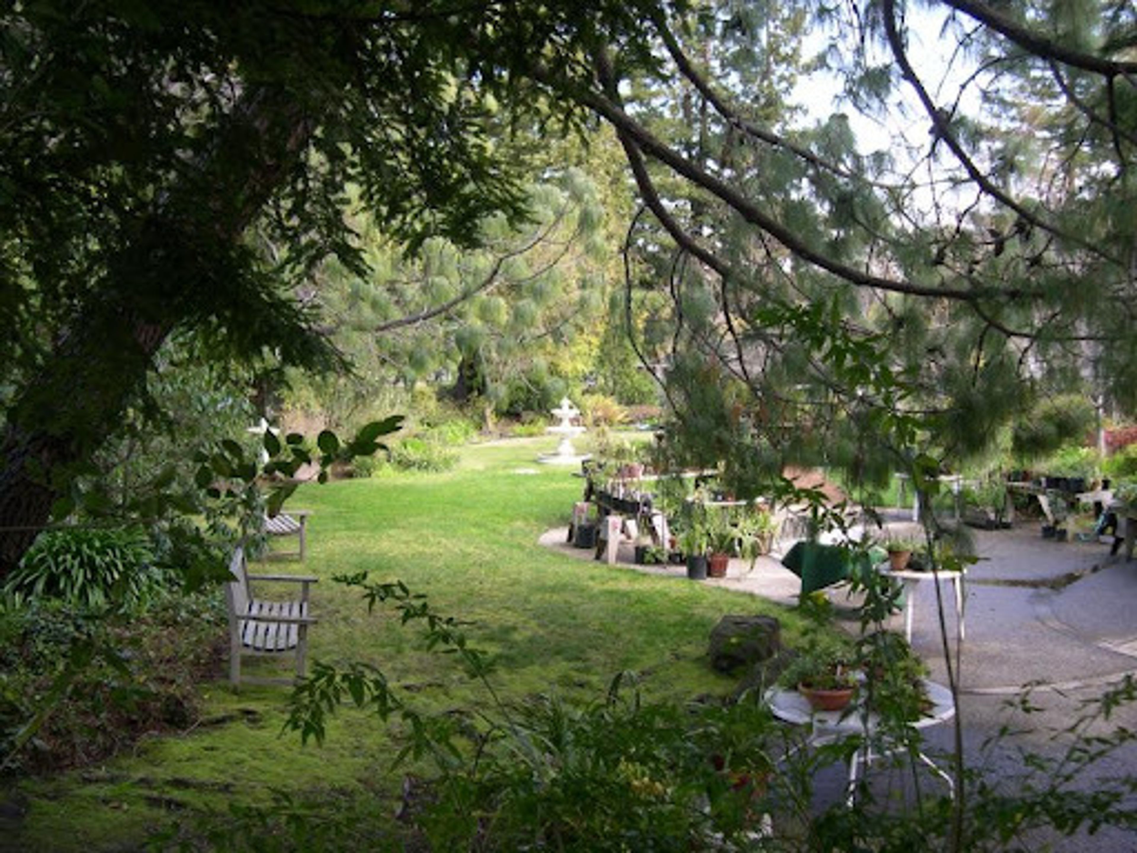 Cover photo of San Mateo Garden Center