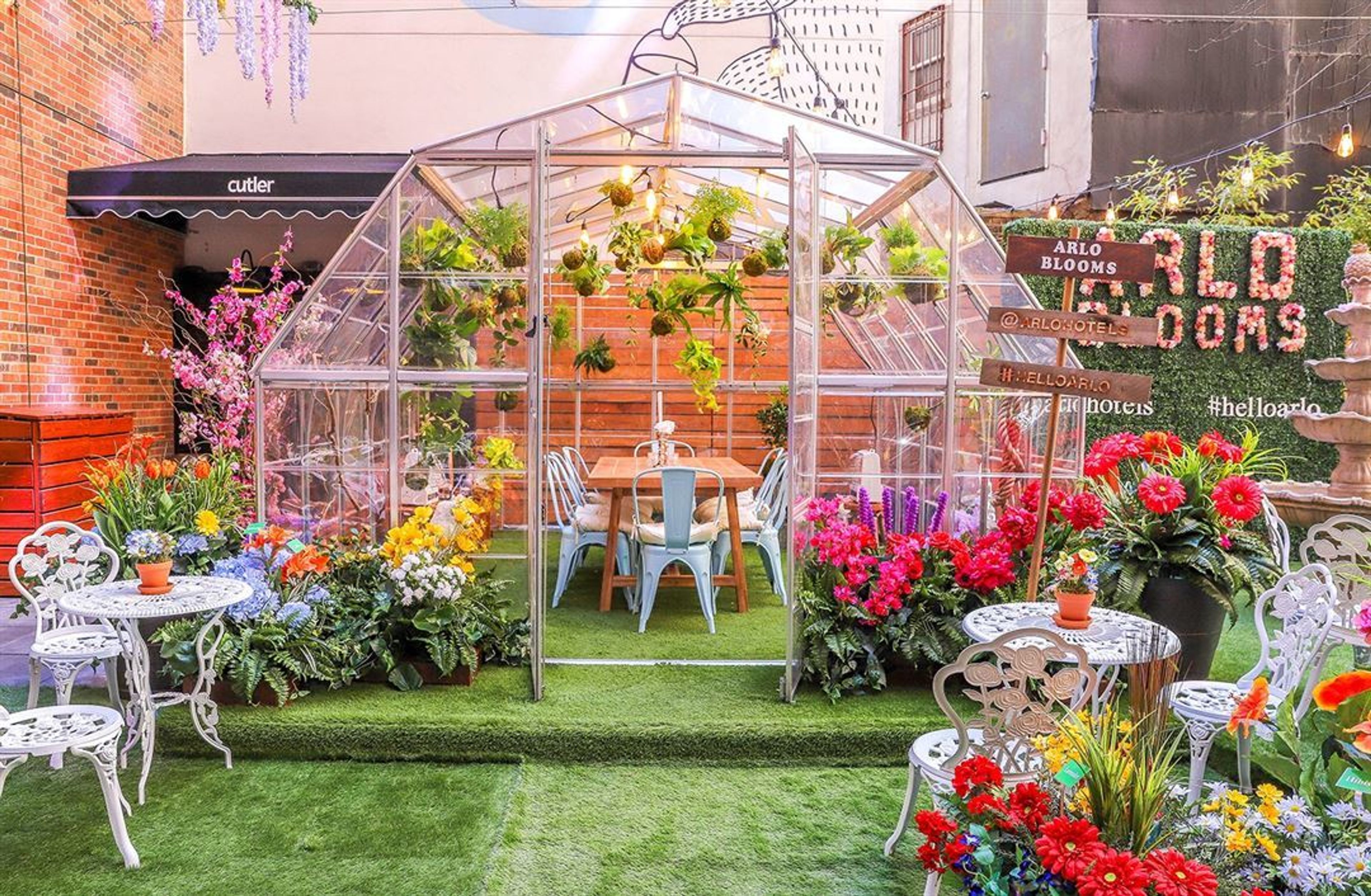 Cover photo of Arlo SoHo