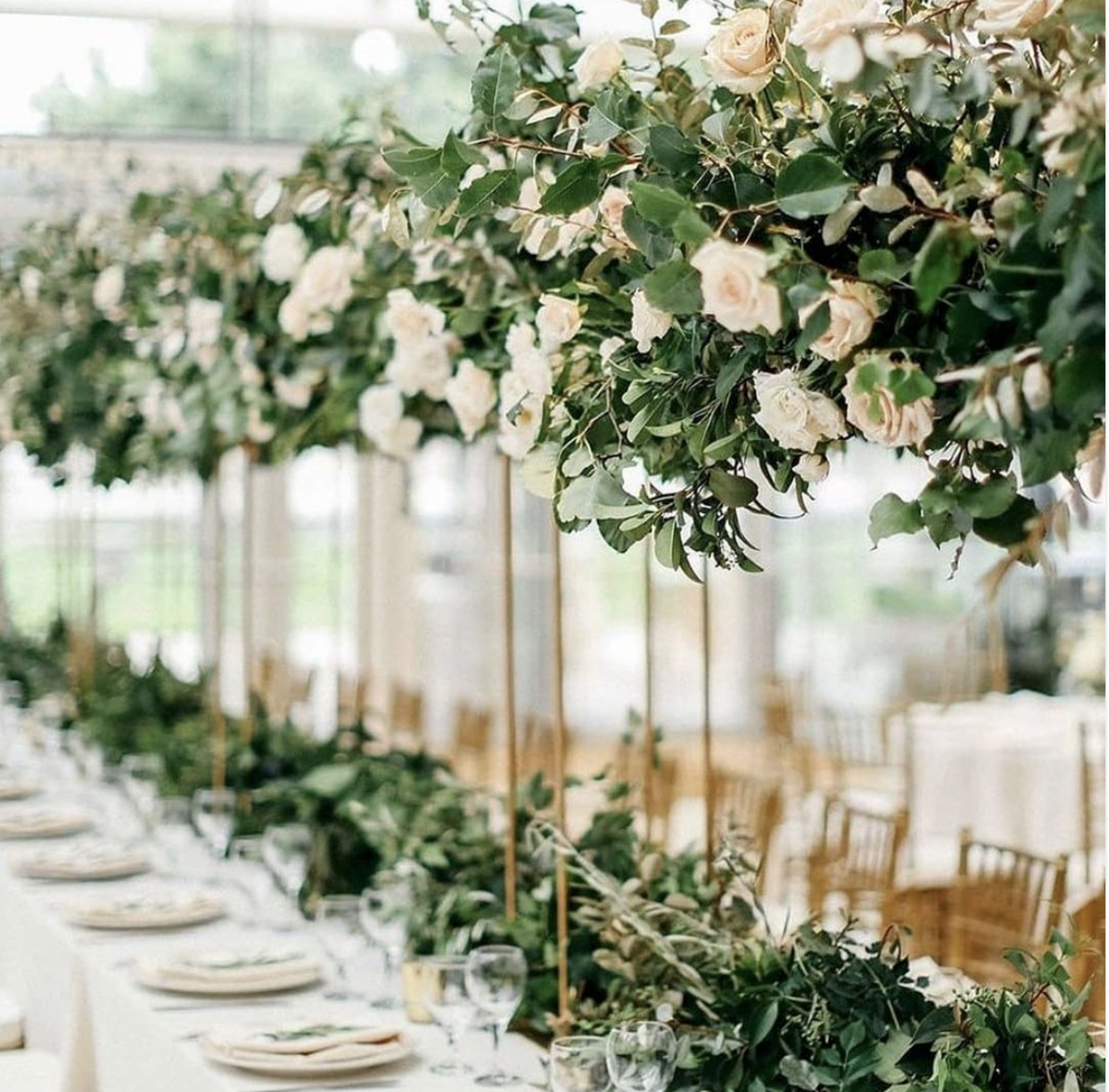 Cover photo of Elite Events by Tawanda Sims