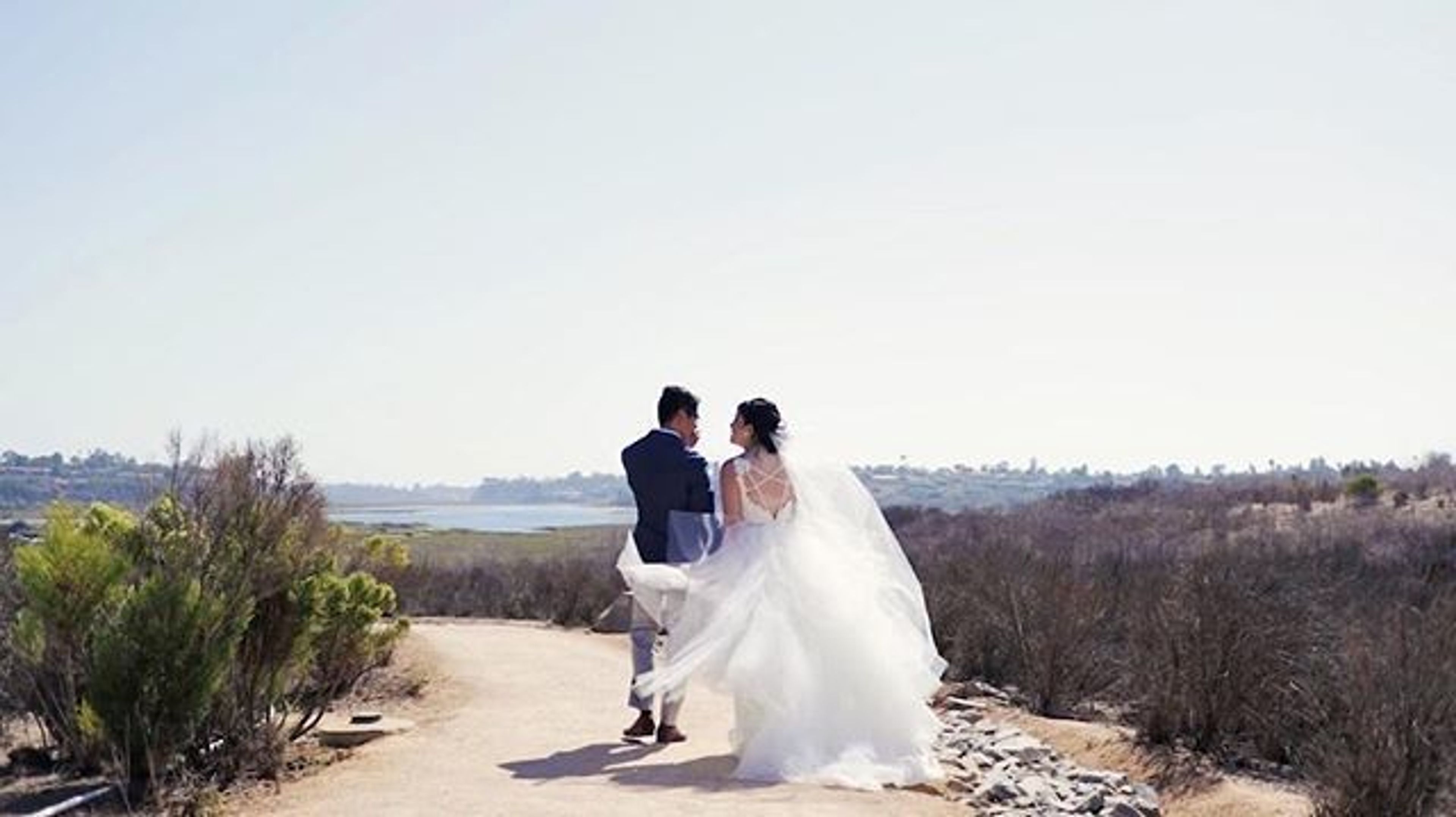 Cover photo of Boffo Video