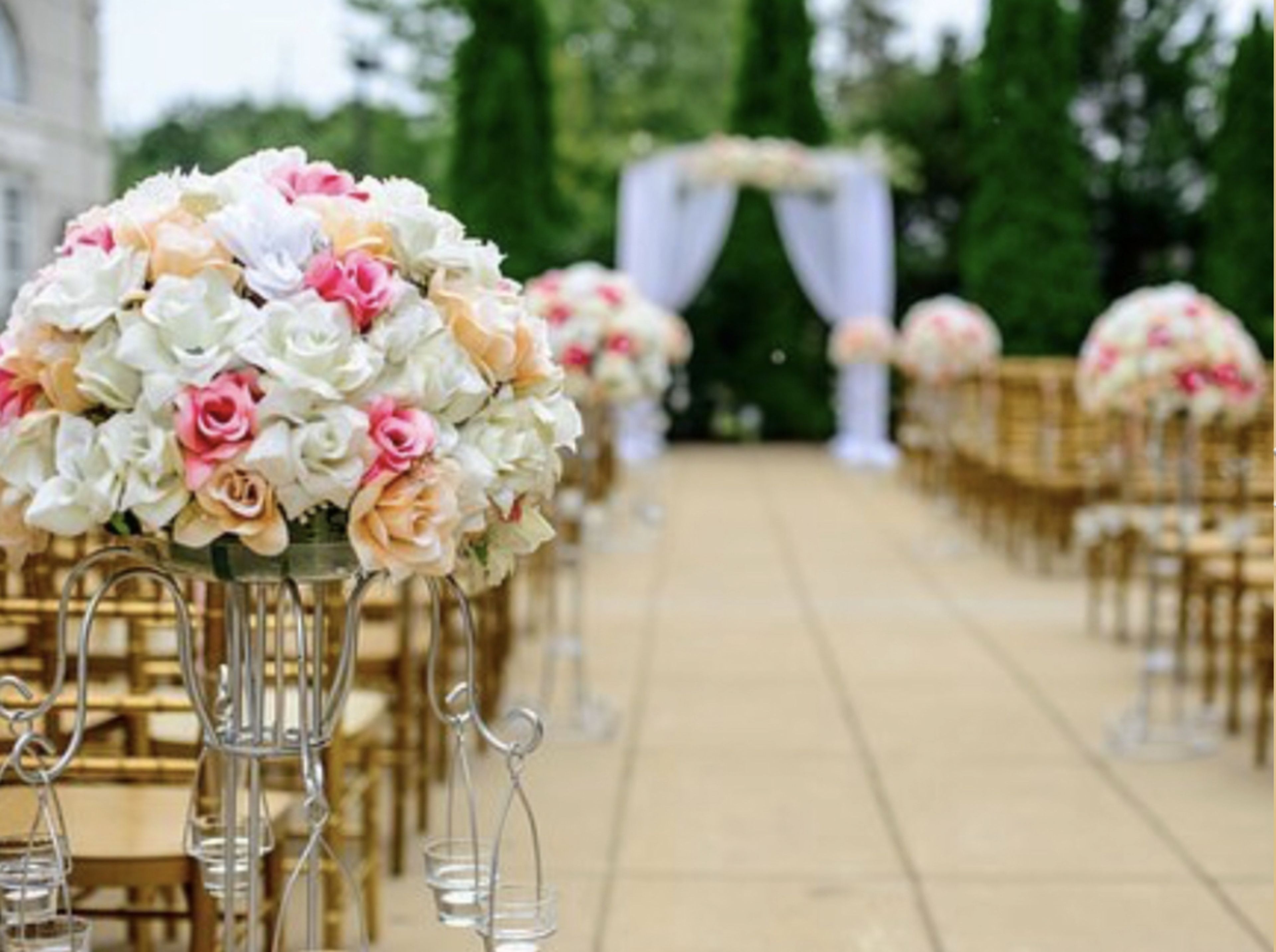 Cover photo of Chantilly & Champagne Weddings