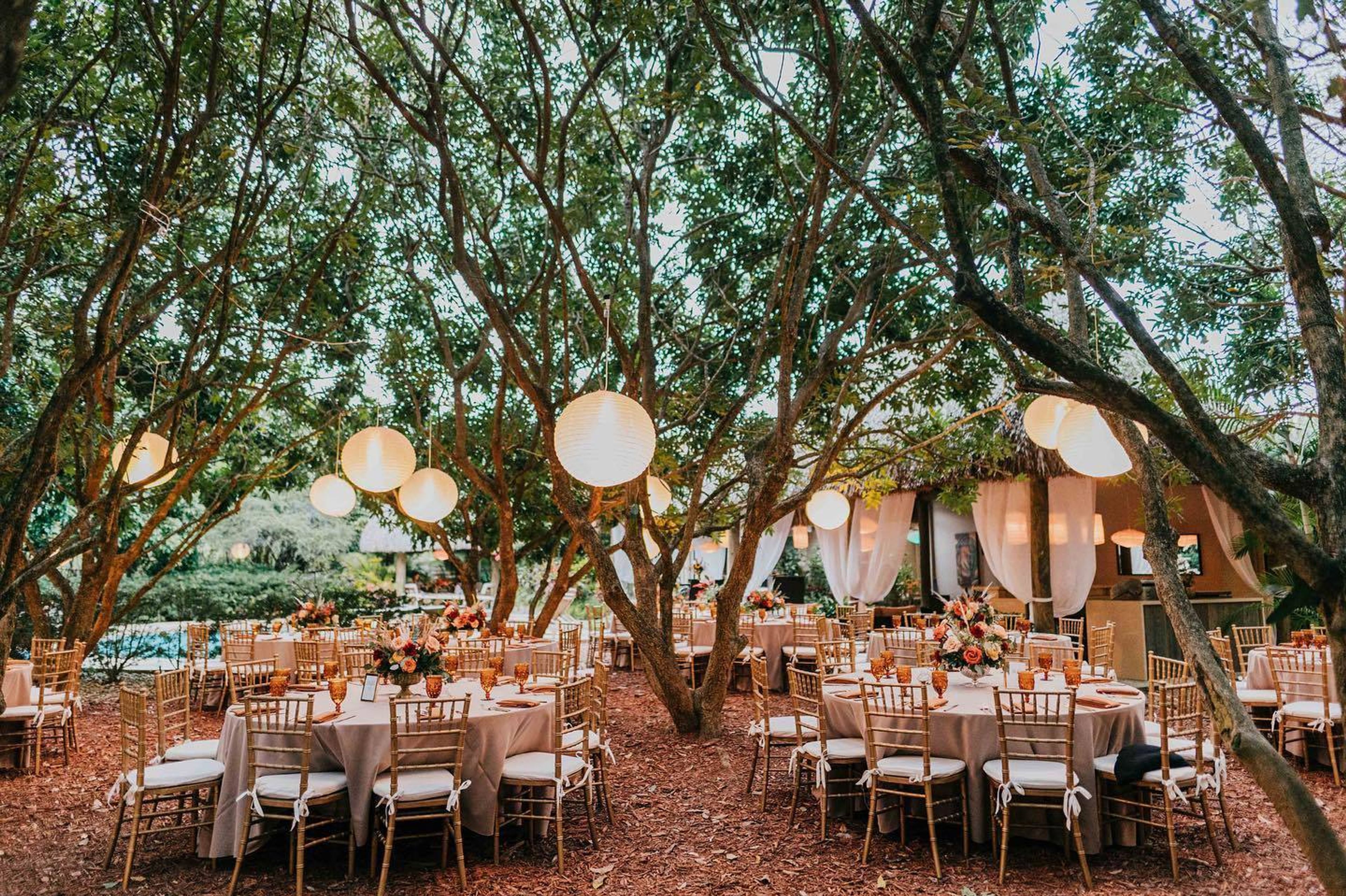 Cover photo of Redland Koi Gardens