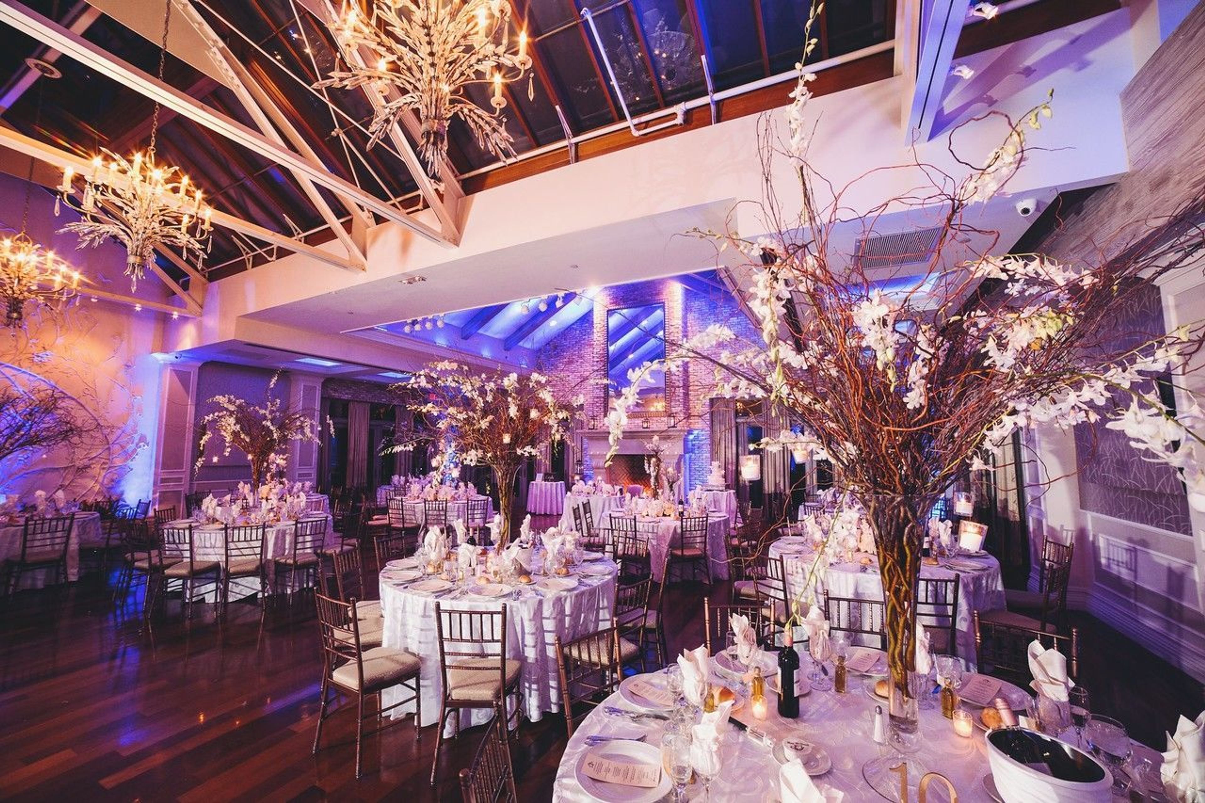 Cover photo of The Somerley