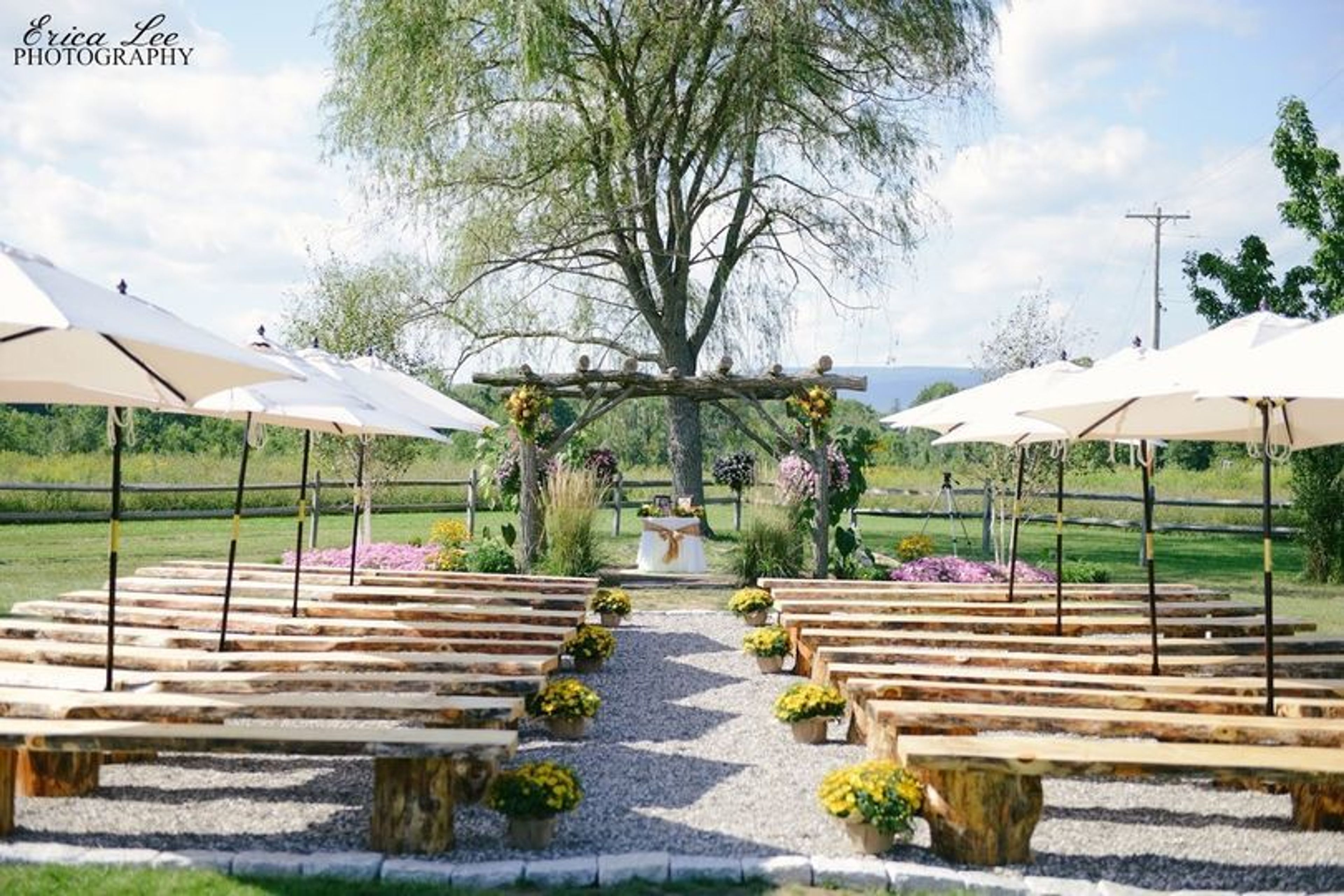 Cover photo of Lippincott Manor