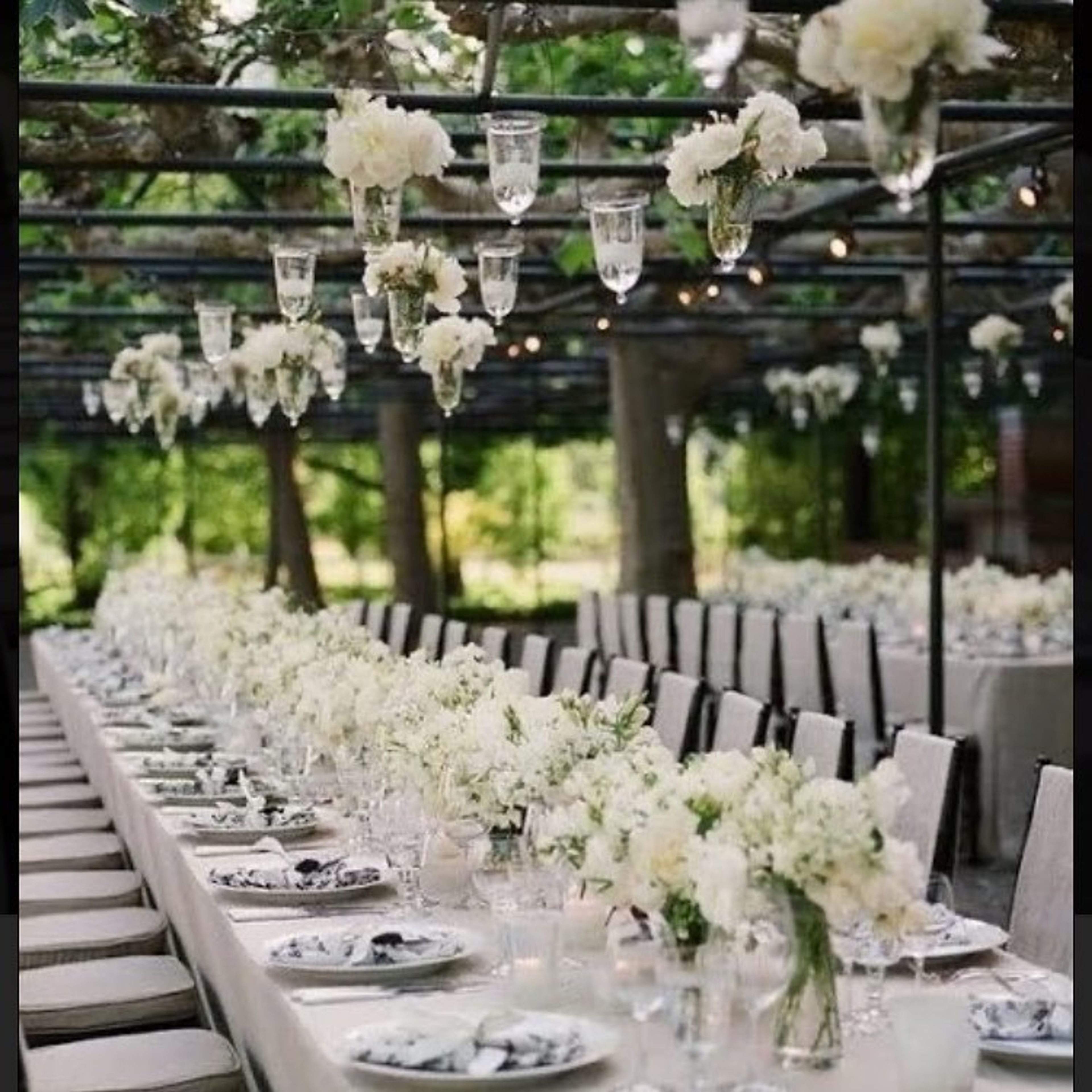 Cover photo of Acetra Affairs