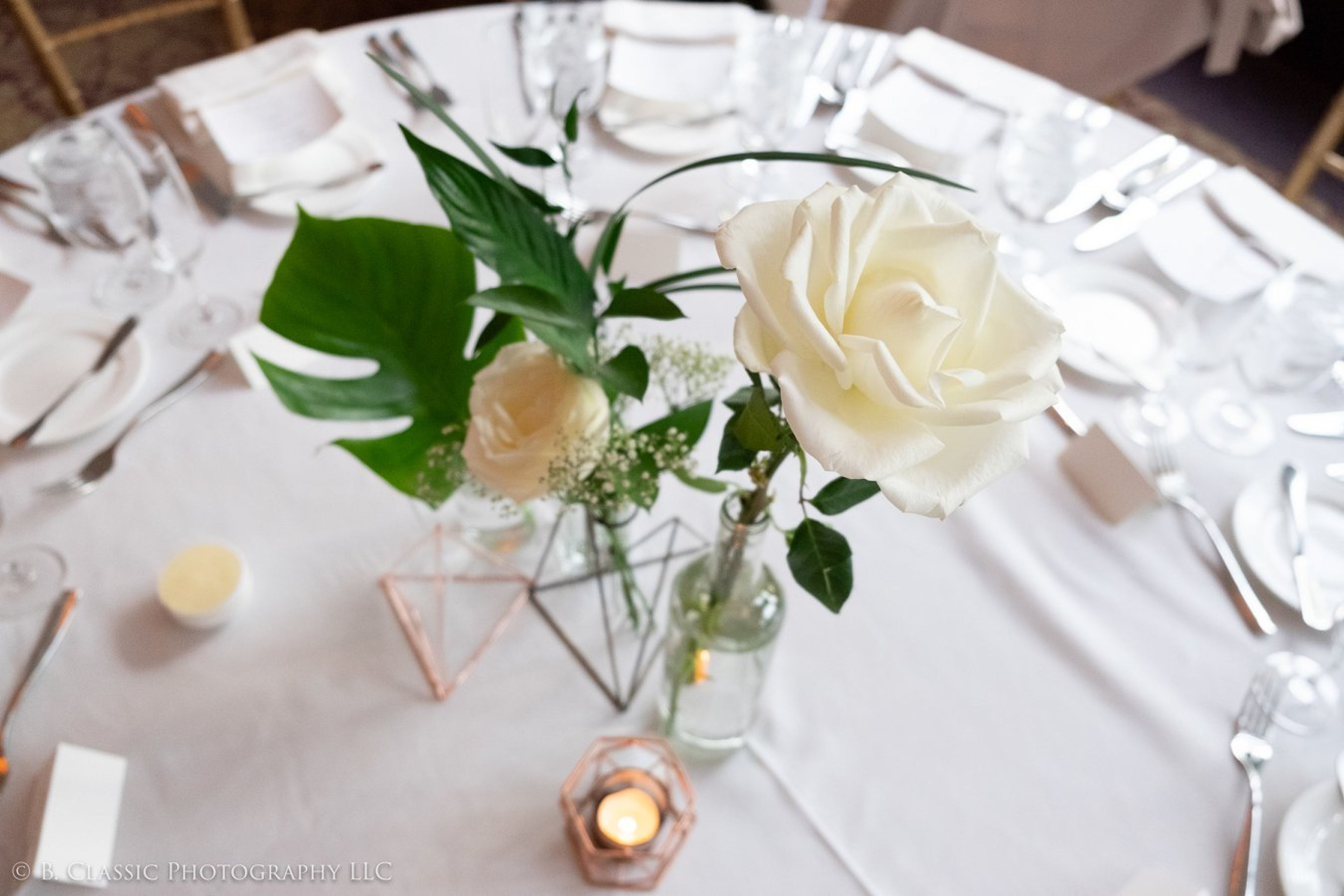 Cover photo of Planned Khaos Events