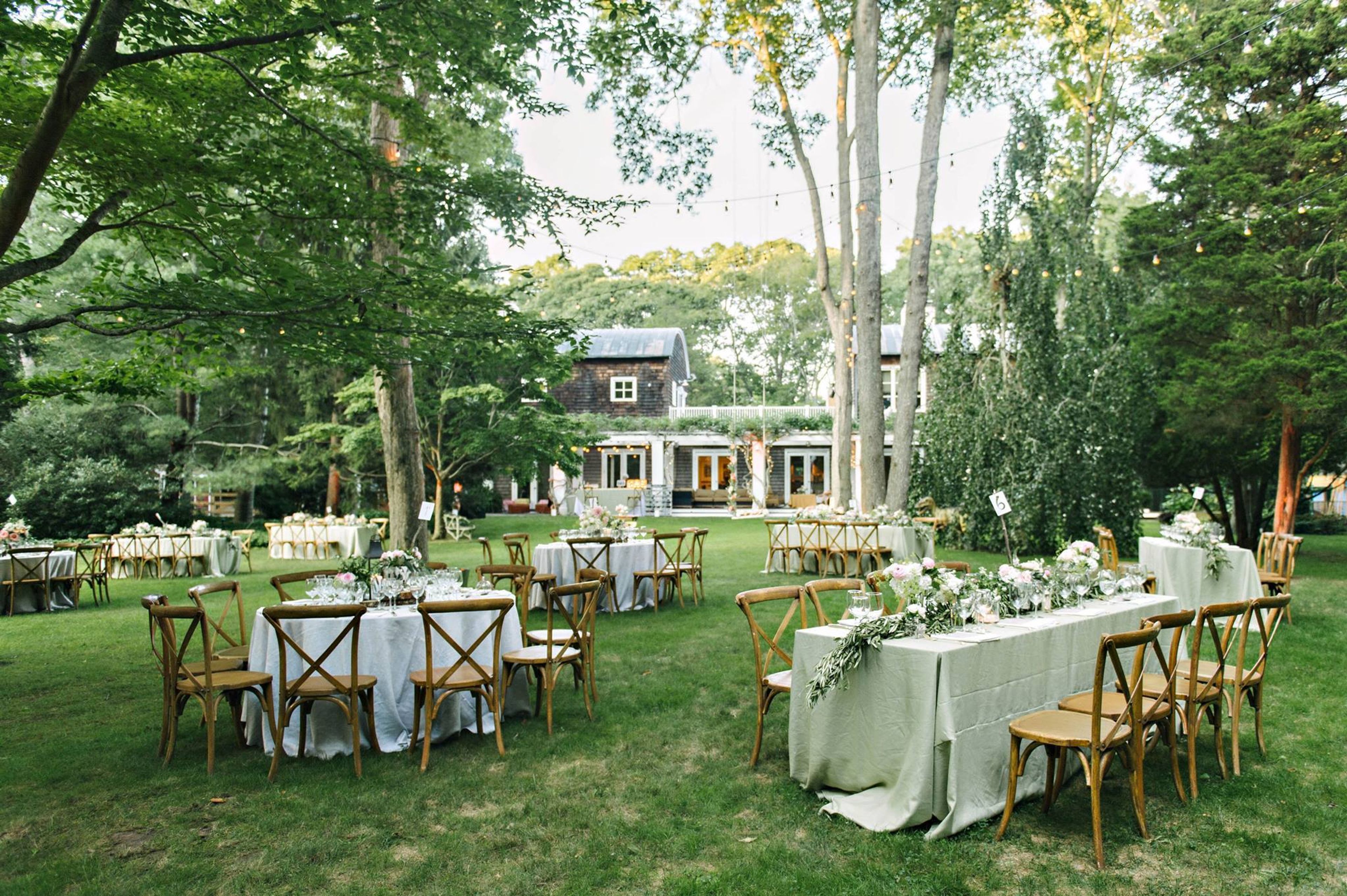 Cover photo of Another Wild Hare