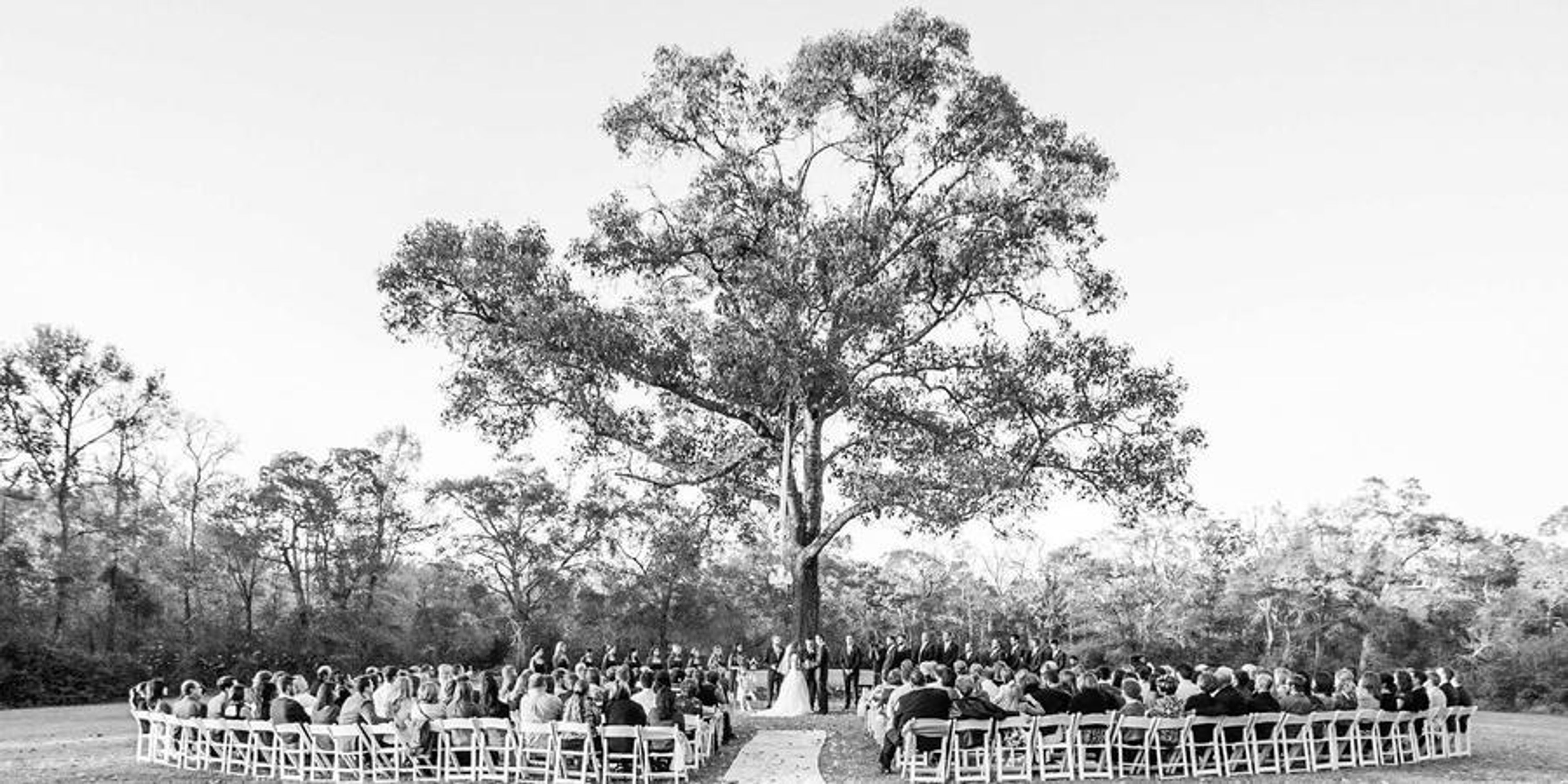 Cover photo of The Waverly Manor