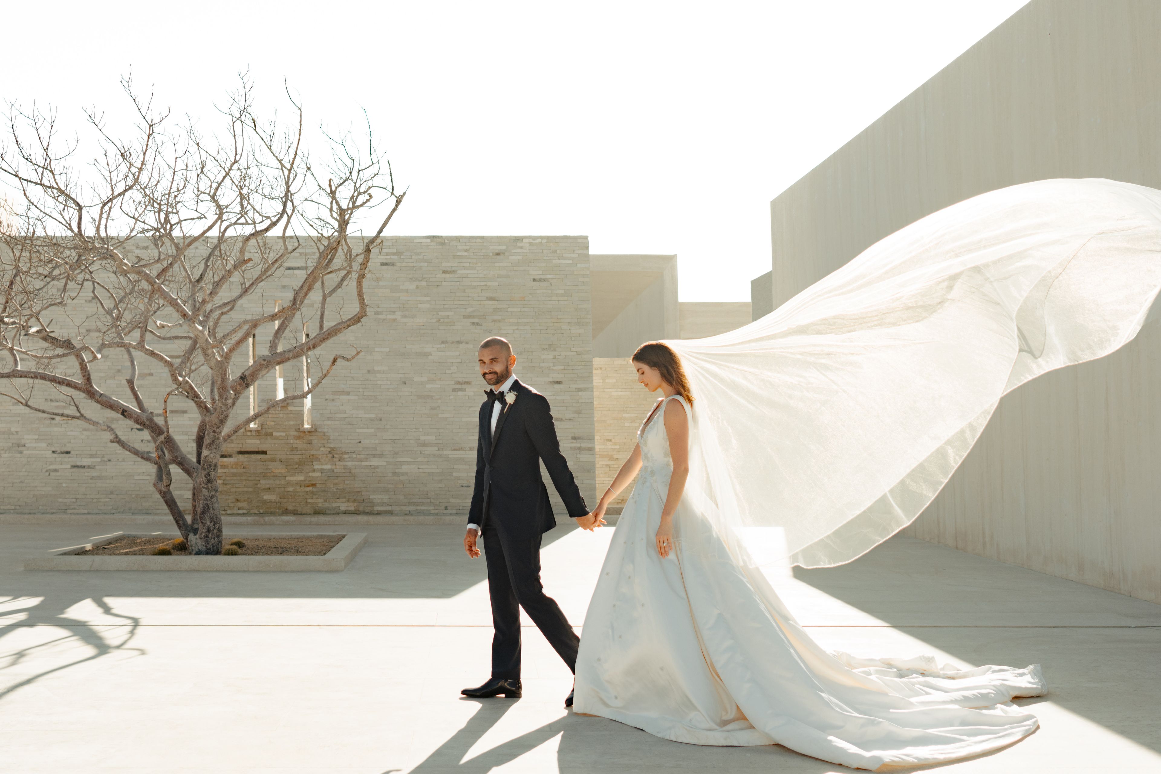 Cover photo of Del Cabo Weddings
