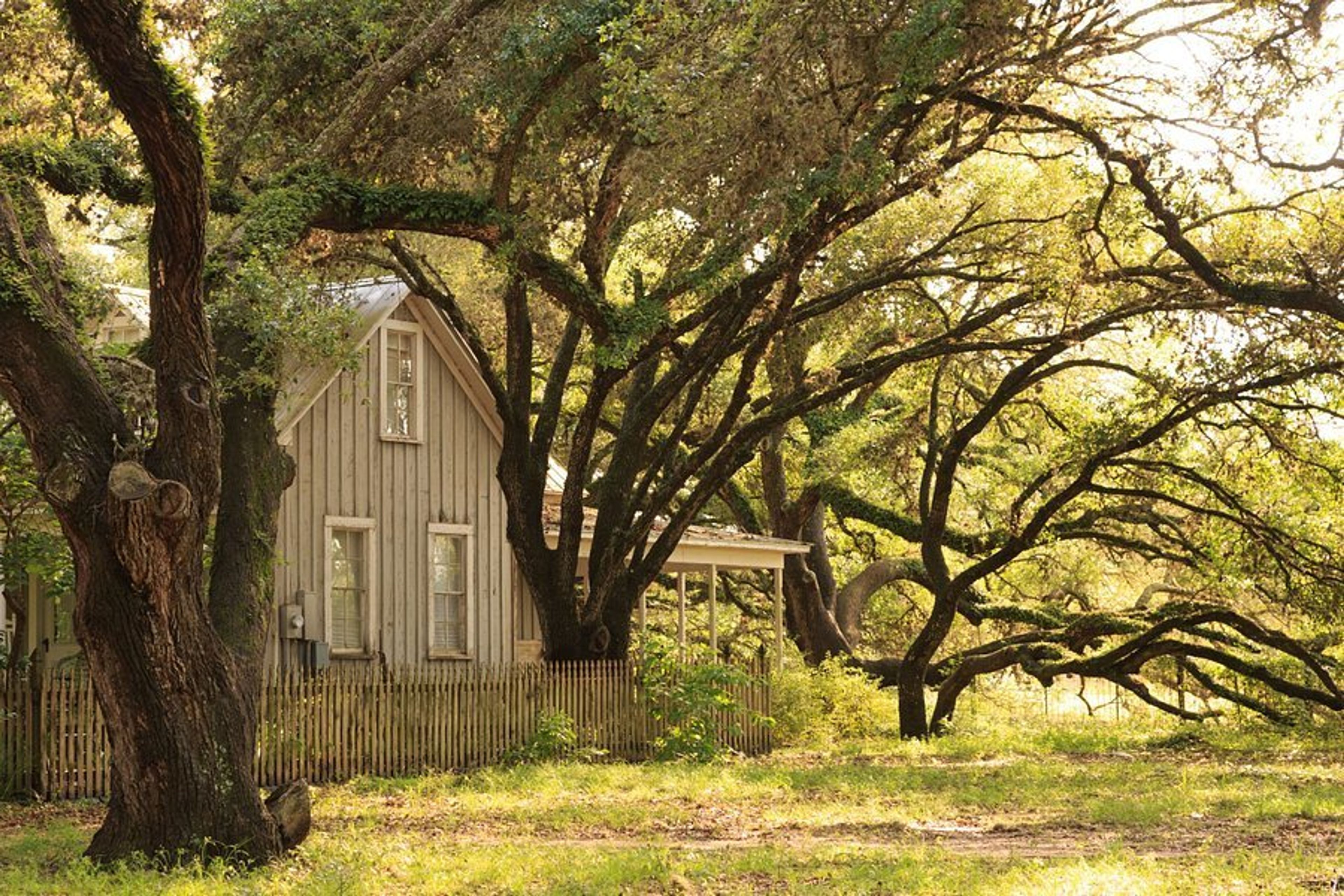 Cover photo of BlissWood Bed and Breakfast Ranch