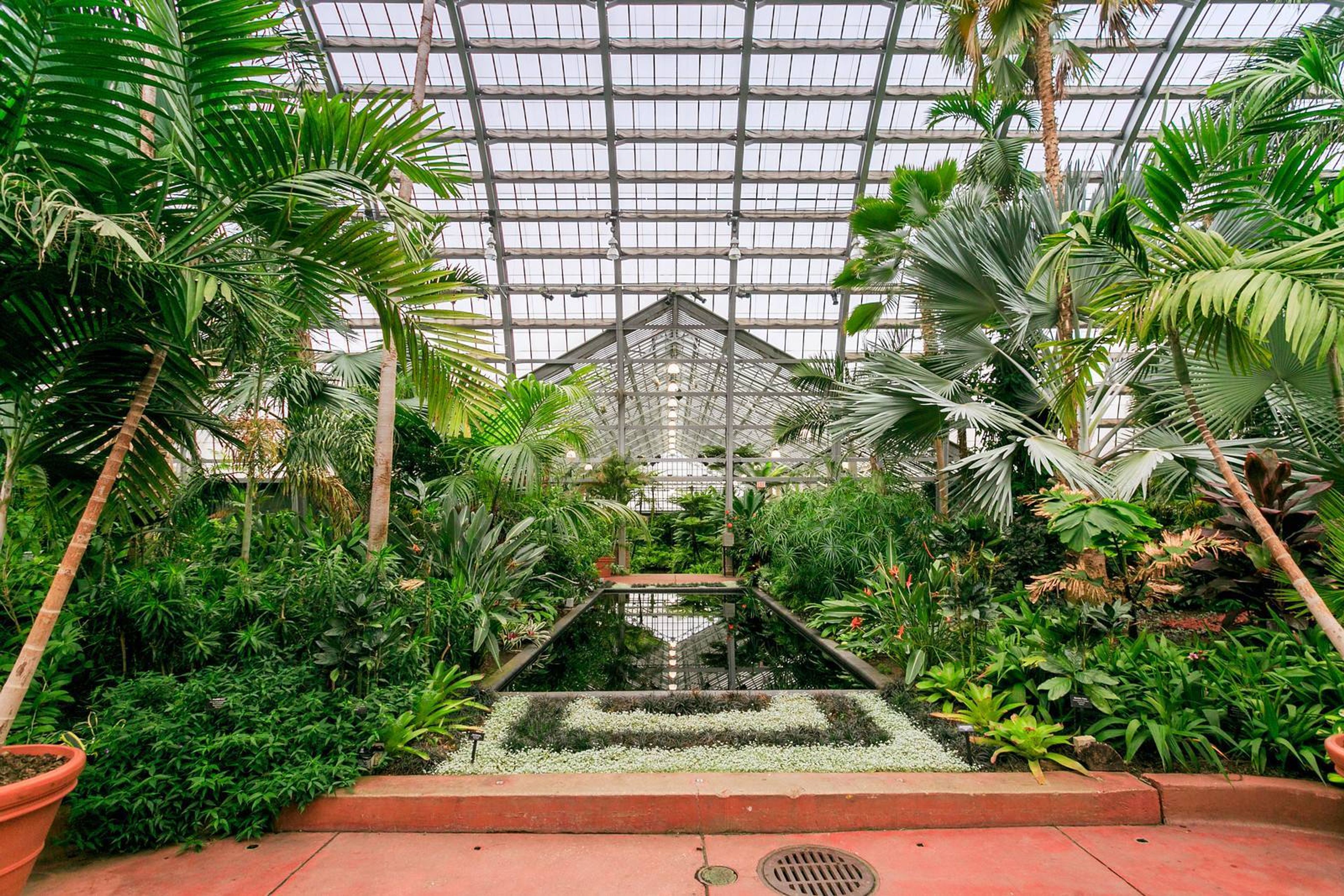 Cover photo of Garfield Park Conservatory