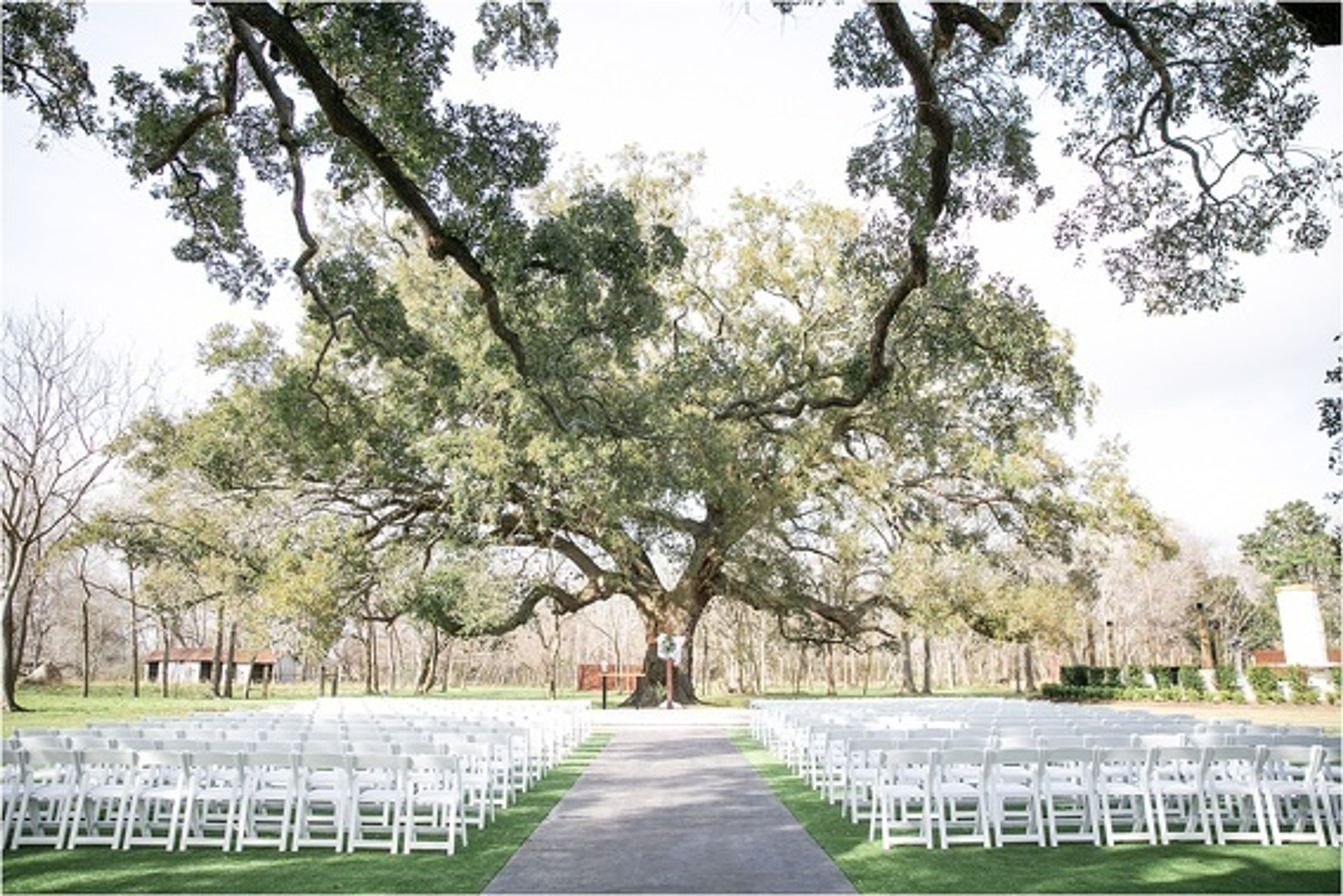 Cover photo of THE OAKS AT OAK PLANTATION