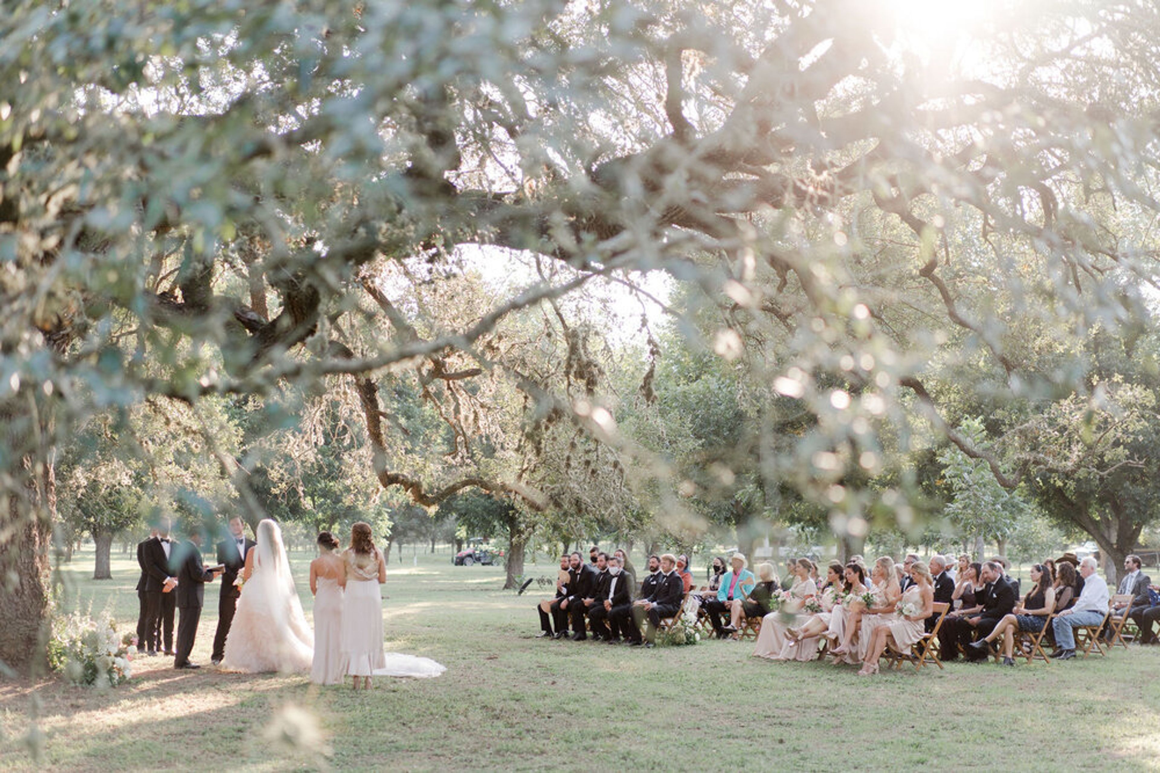 Cover photo of The Estates at Pecan Park